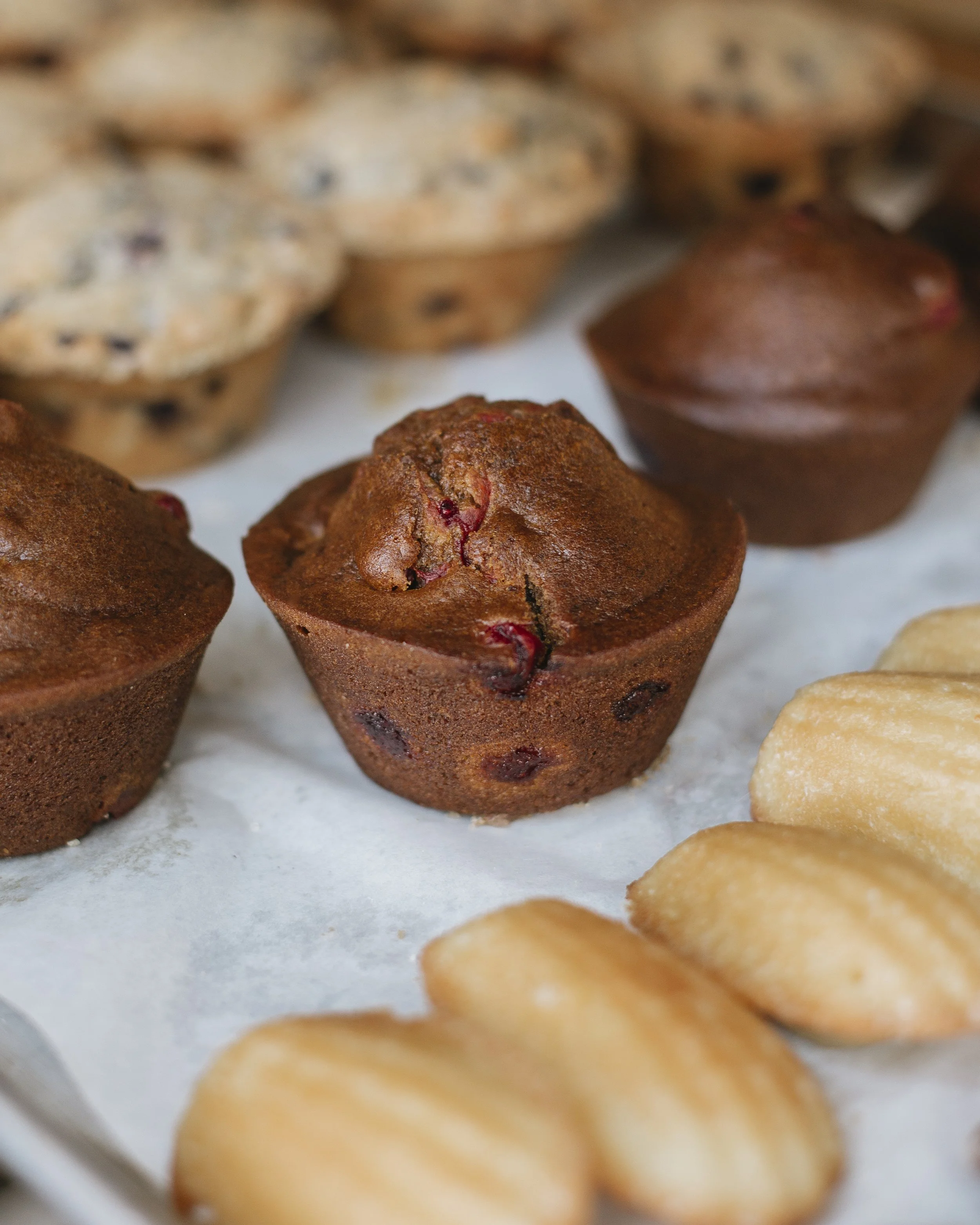 Pumpkin Cranberry Muffin Tray w_ Blurry Blueberry Muffins USED.jpg