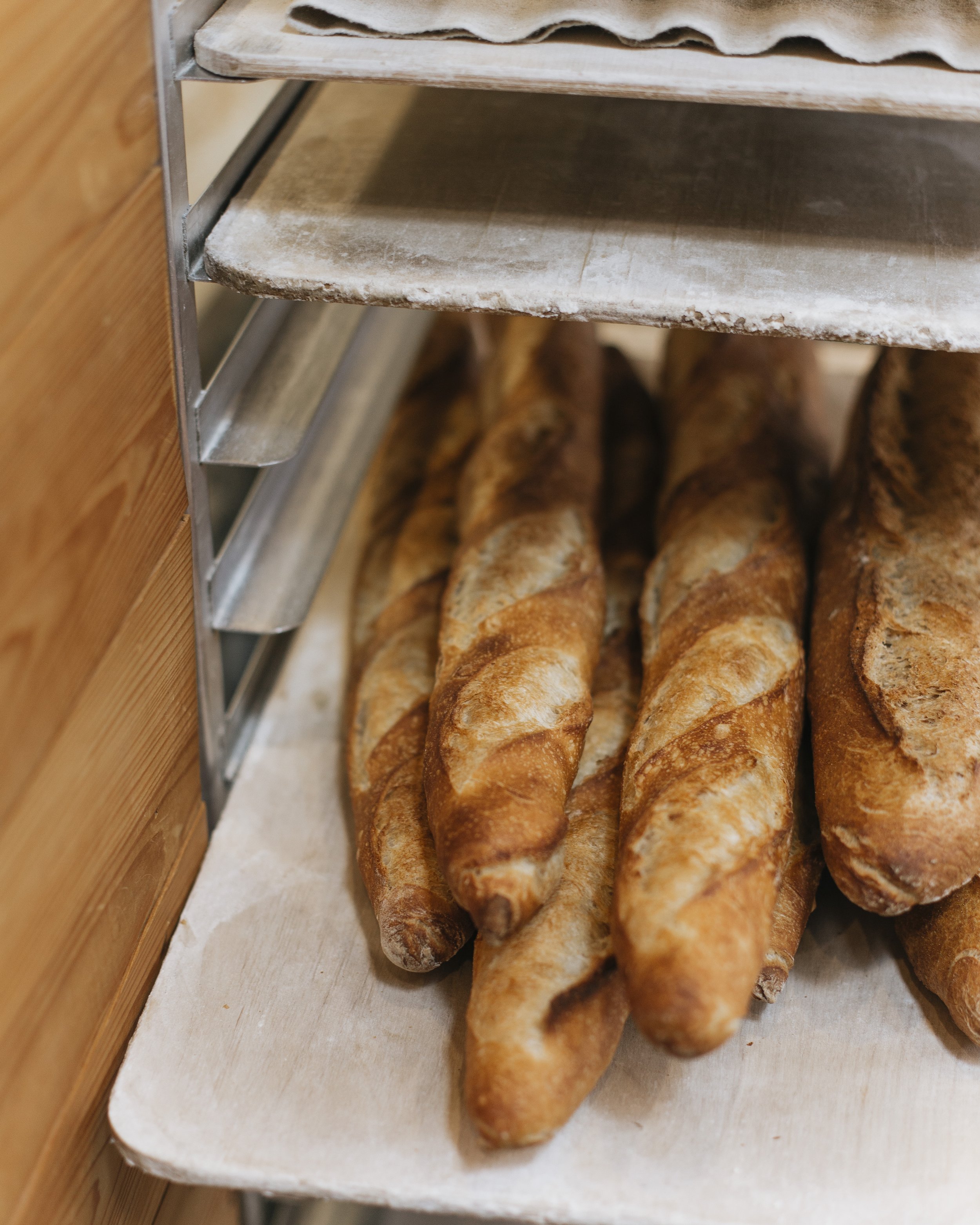 Wholesale — DOZEN BAKERY