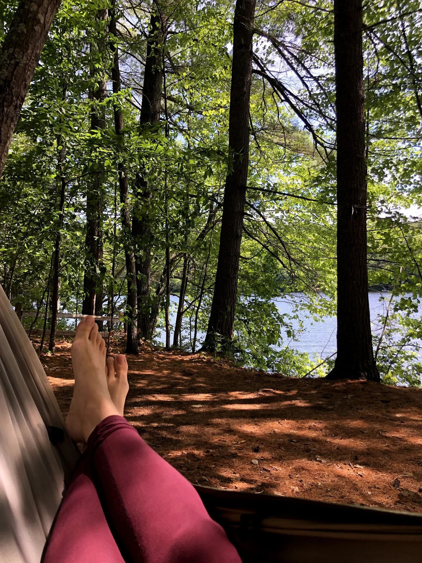 Hammock Sessions 🌲 
The longer I honor my true, inherent energy, the more I thrive.

Nature reminds me daily that clarity doesn&rsquo;t come through force.

It arrives in the quiet moments &mdash;
🌲 Laying in the hammock, eyes soft toward the trees