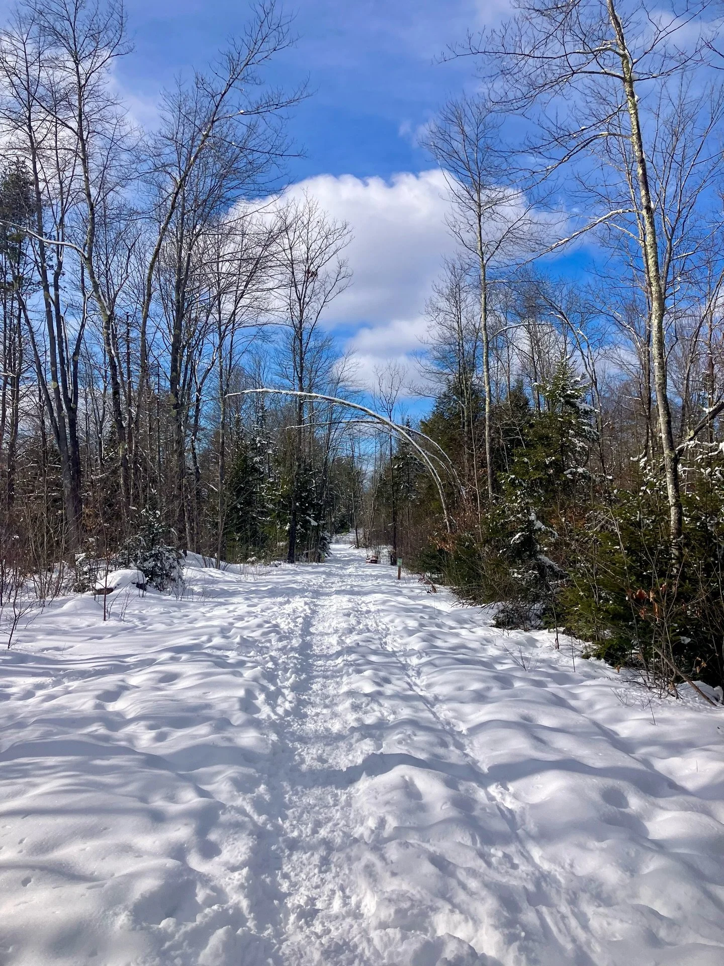 Last week of Month of Love and
Most relationship patterns don&rsquo;t start in the relationship&hellip;

They start in the moments we abandon ourselves.

When we override what we feel.
When we push past our limits.
When we explain away discomfort ins