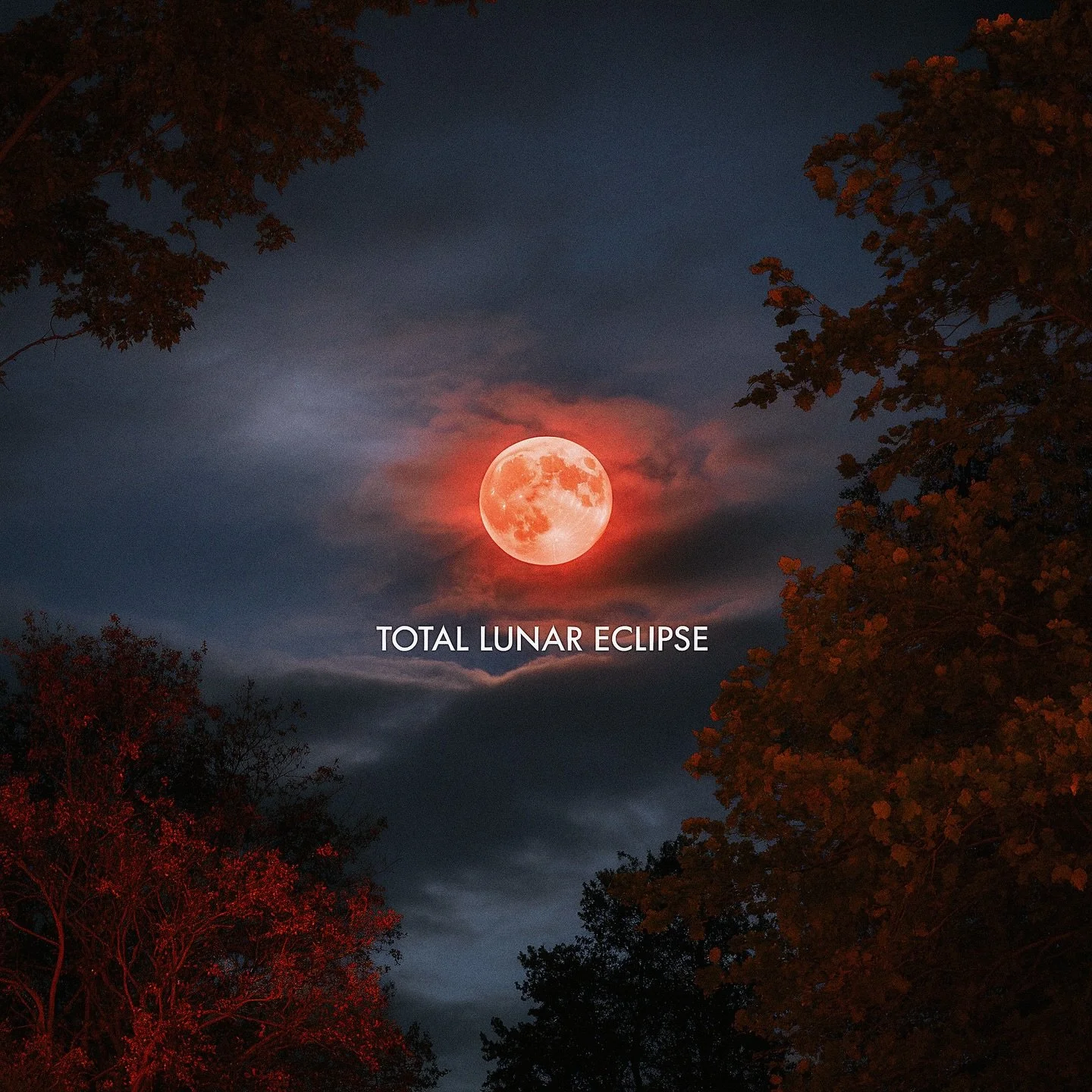 Have you let go of control yet?

This is the last Full Moon Eclipse in Virgo. 🌖 
So letting go of those Virgo shadows that&rsquo;s you&rsquo;ve been working on for the last 2 years.

Time to finally allow yourself to FLOW 🌊 

Now&rsquo;s the time t