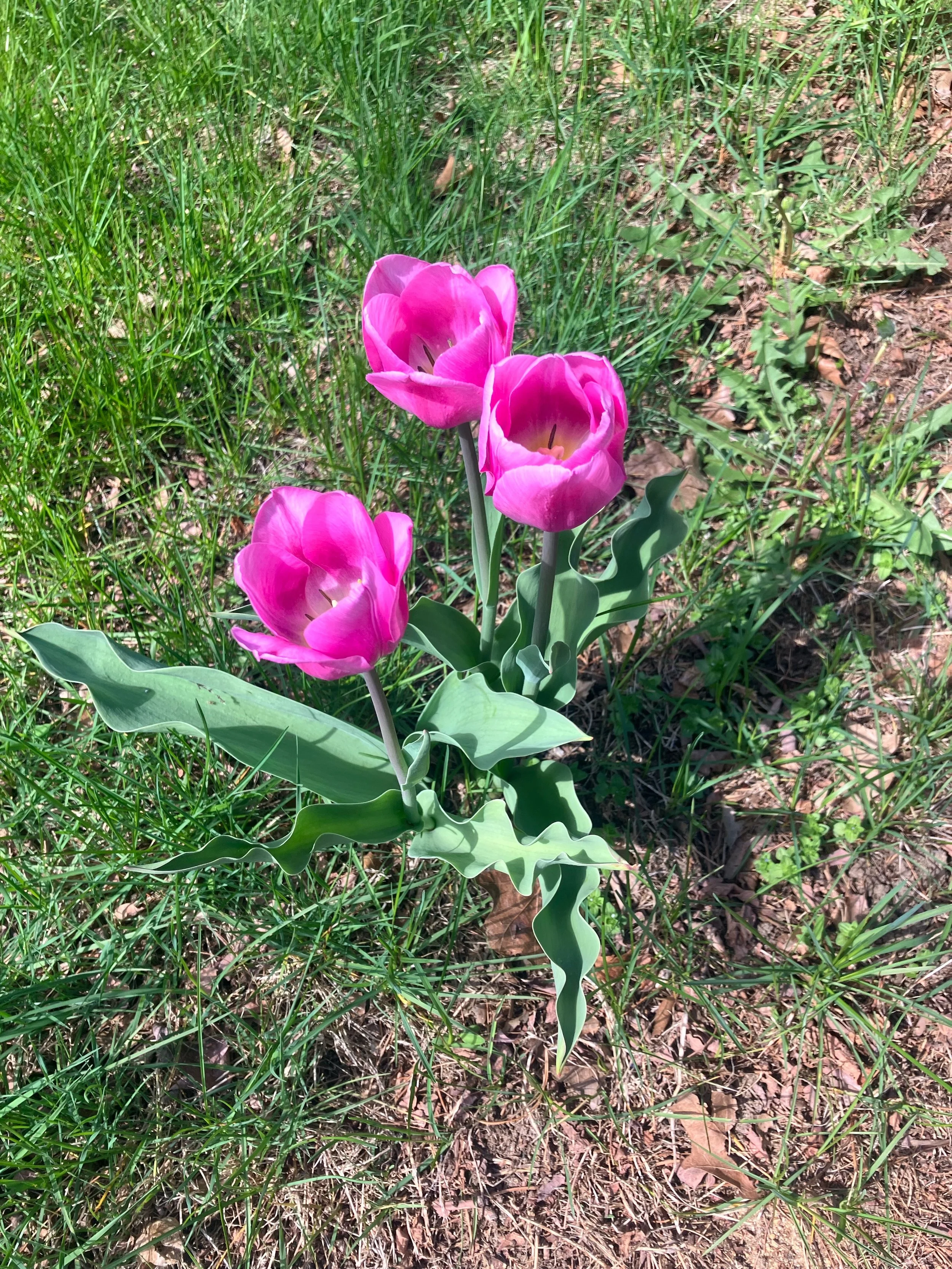 You can feel it&hellip; Something is leaving.

Not loudly.
Not dramatically.
But like a layer you&rsquo;ve quietly outgrown.

May opened with a Scorpio full moon that said:
Release what isn&rsquo;t aligned.

And now?
You don&rsquo;t get to unknow wha