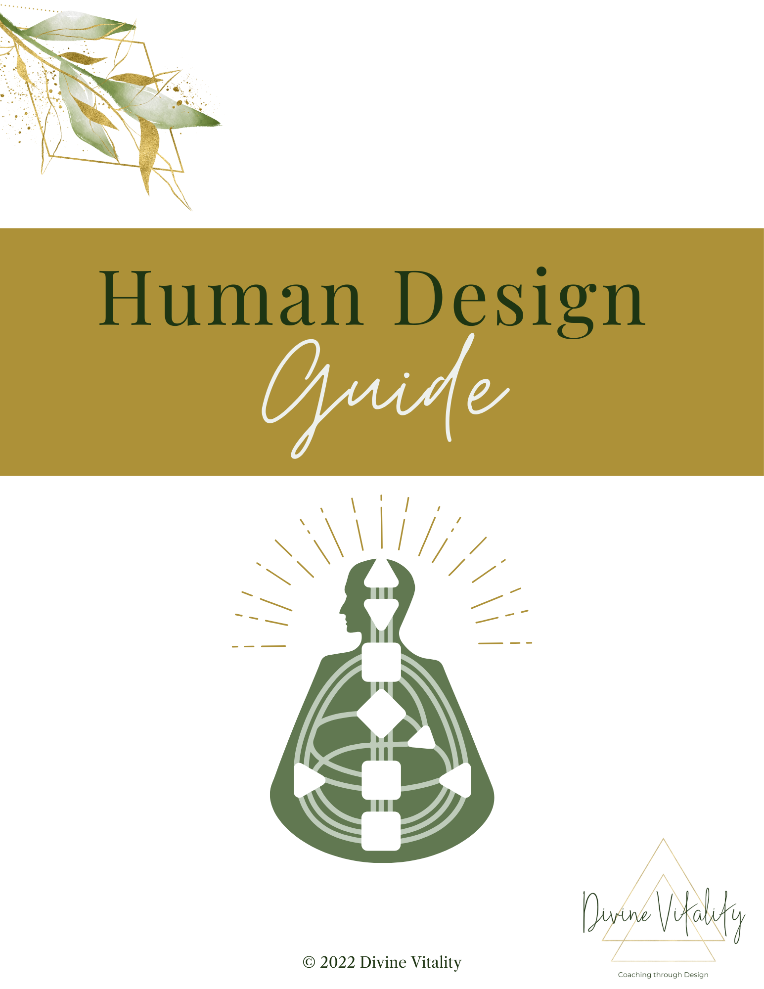 HD Guide.png