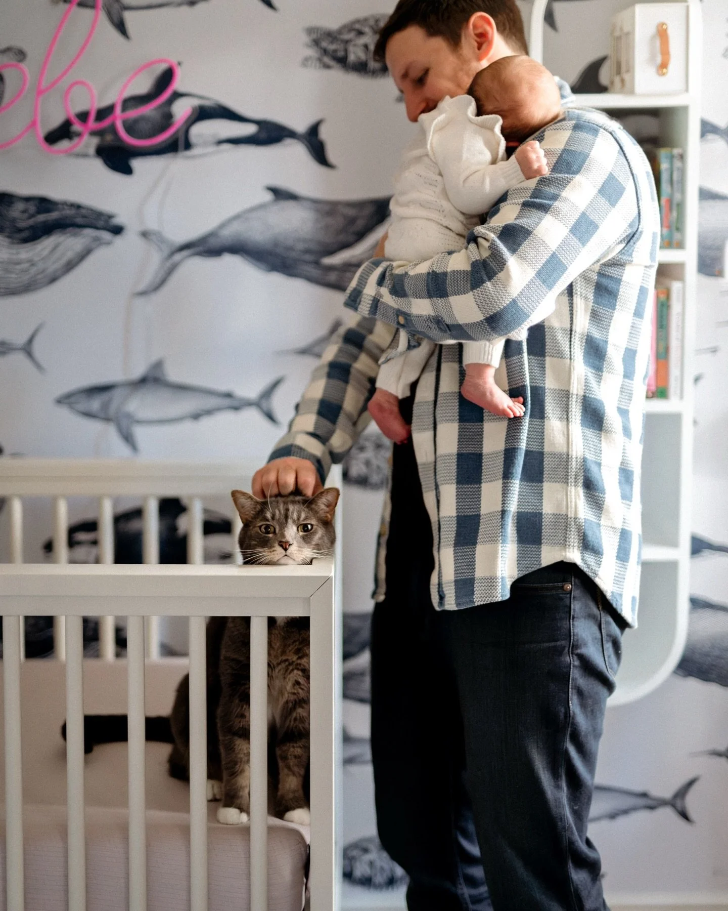 Excuse me, Zeus 🐈&zwj;⬛, but this is an in-home newborn session. 

Absolutely loved capturing this beautiful family as they settle into their new life as a party of four! 

🤍🤍🤍