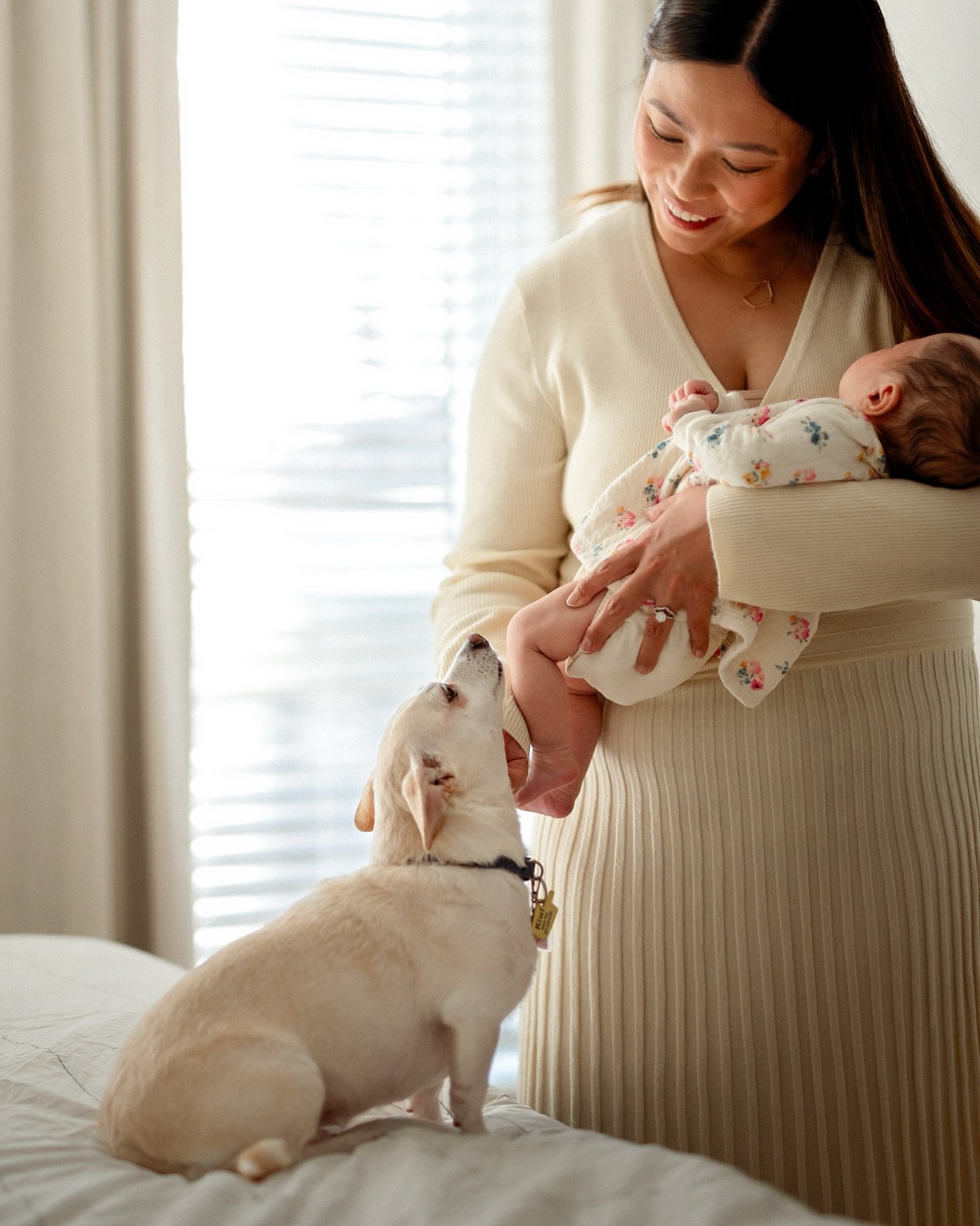 Worth a scroll through this gorgeous, dreamy newborn session. 

A dog&rsquo;s POV always makes me smile!

🤍🤍🤍🤍
