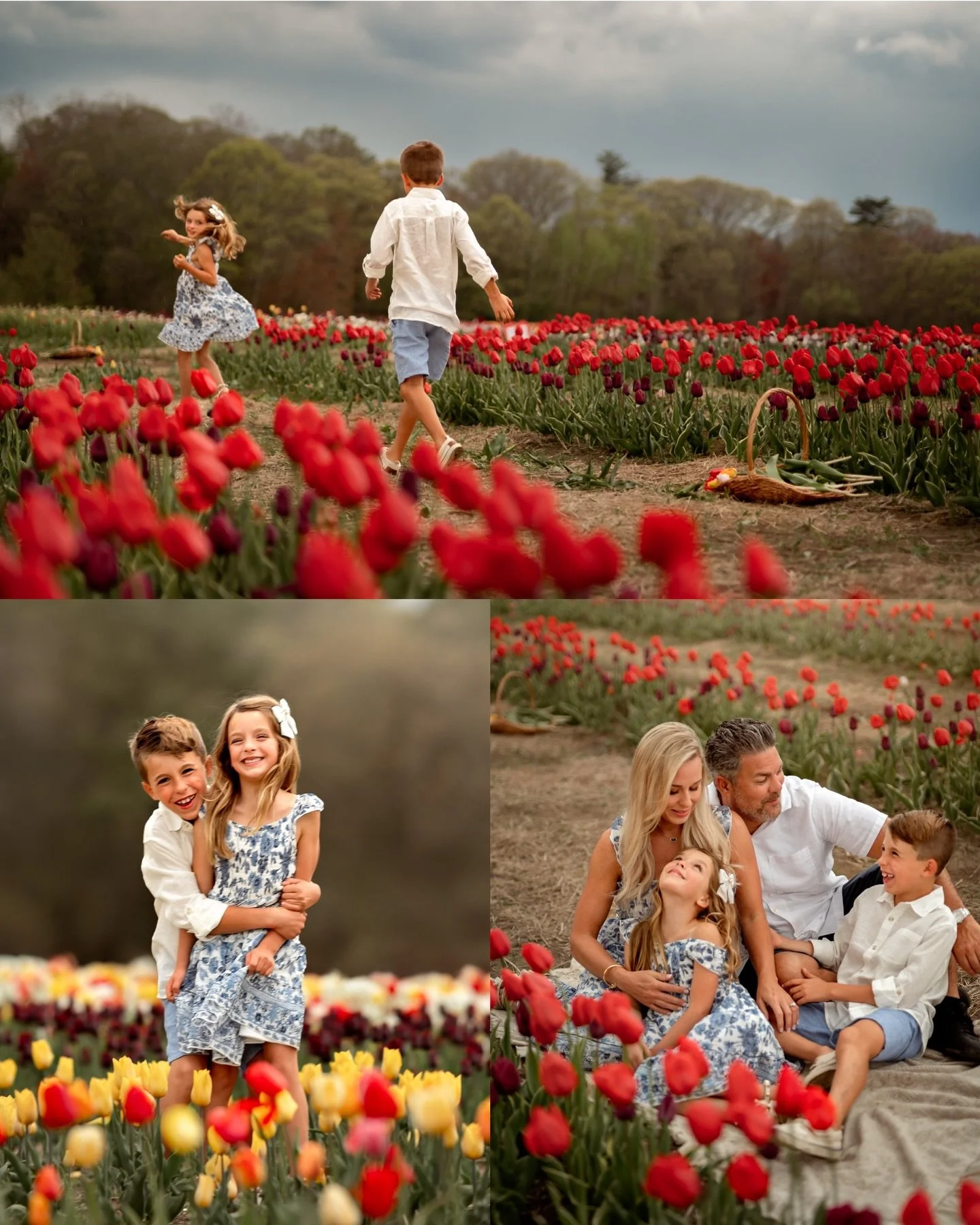 I sold out of my first tulip session day so I added another on Saturday, May 9th. 

Check the link in my bio to grab a spot! 

☔️🌷🤍☀️