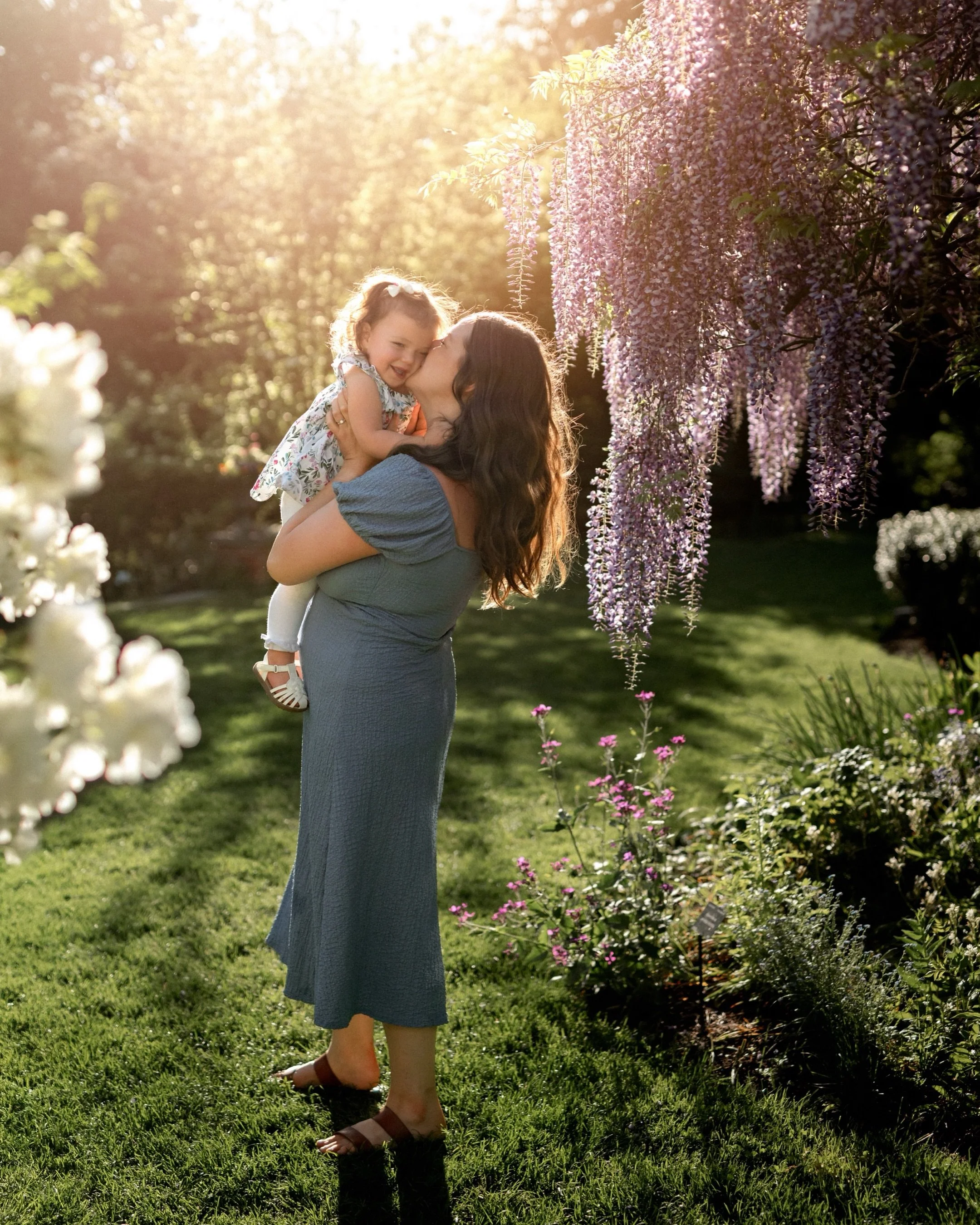 The wisteria is here! 

💜💜💜

Have you ever smelled it? It smells like grape!