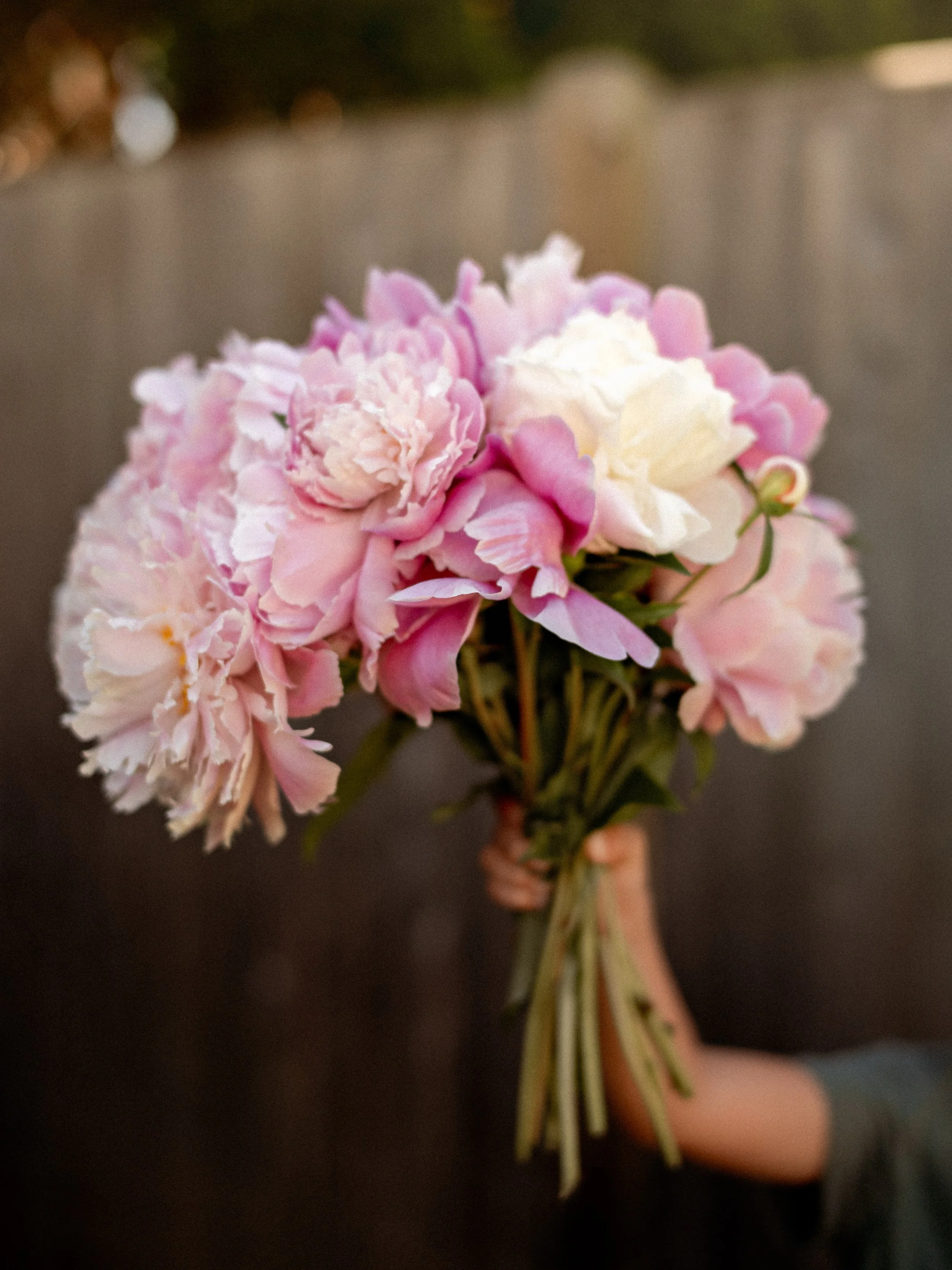 Omg peonies. 😍