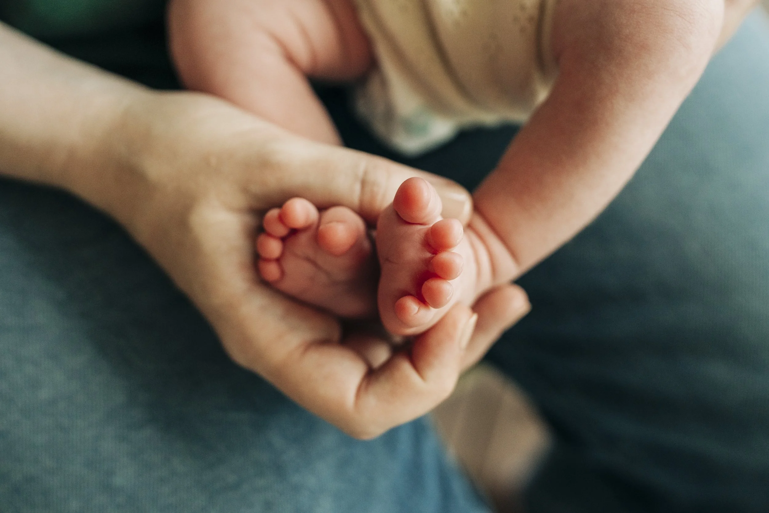 A close-up of an adult's hand holding a baby's tiny foot, with a focus on the baby's toes.