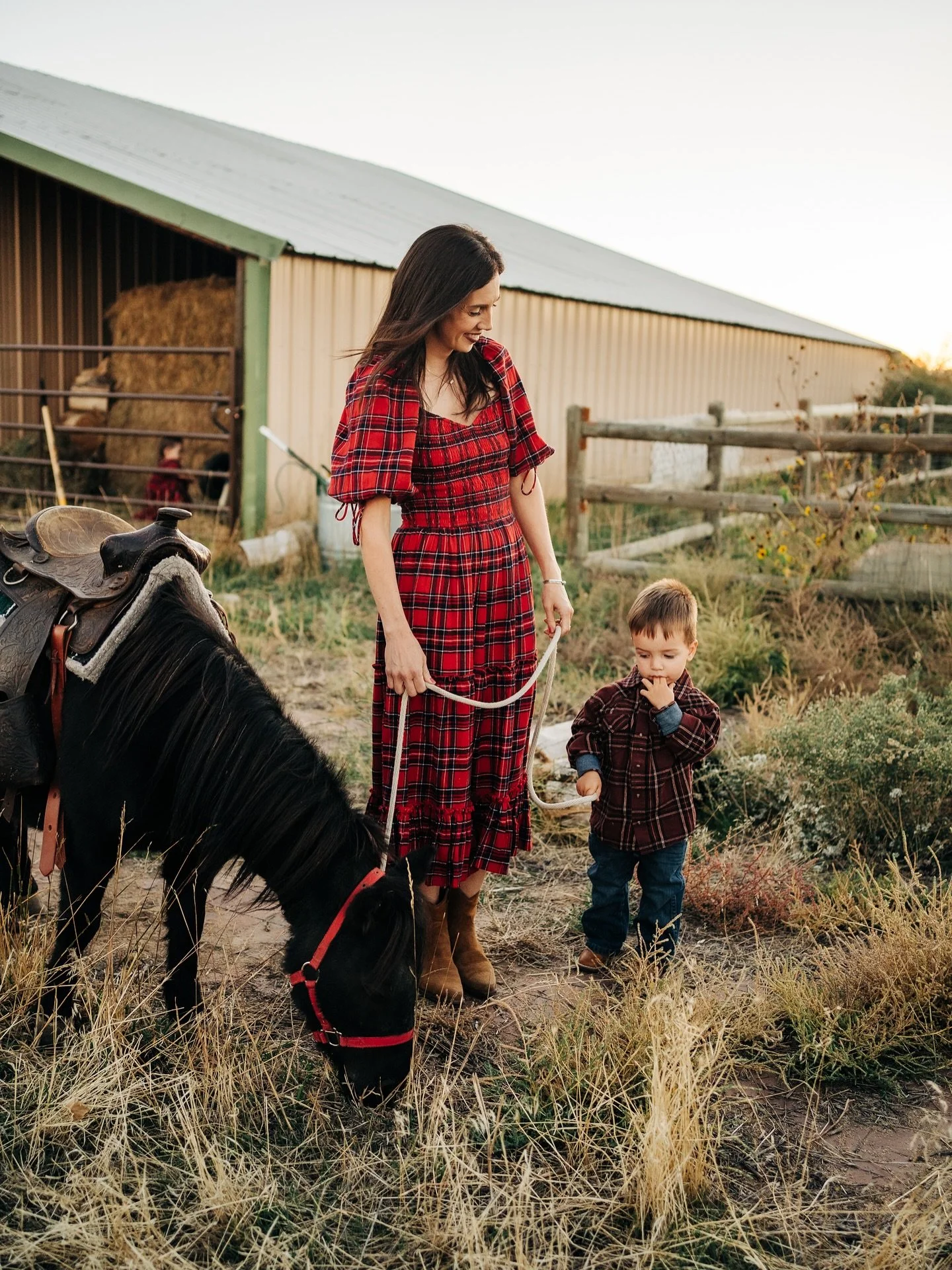 A day they might not fully remember, but one you definitely will. Sun on their cheeks, eyes wide, hands holding on just enough to feel brave. Little moments like this stay soft in the memory.
I have a handful of dates left to capture your family at y
