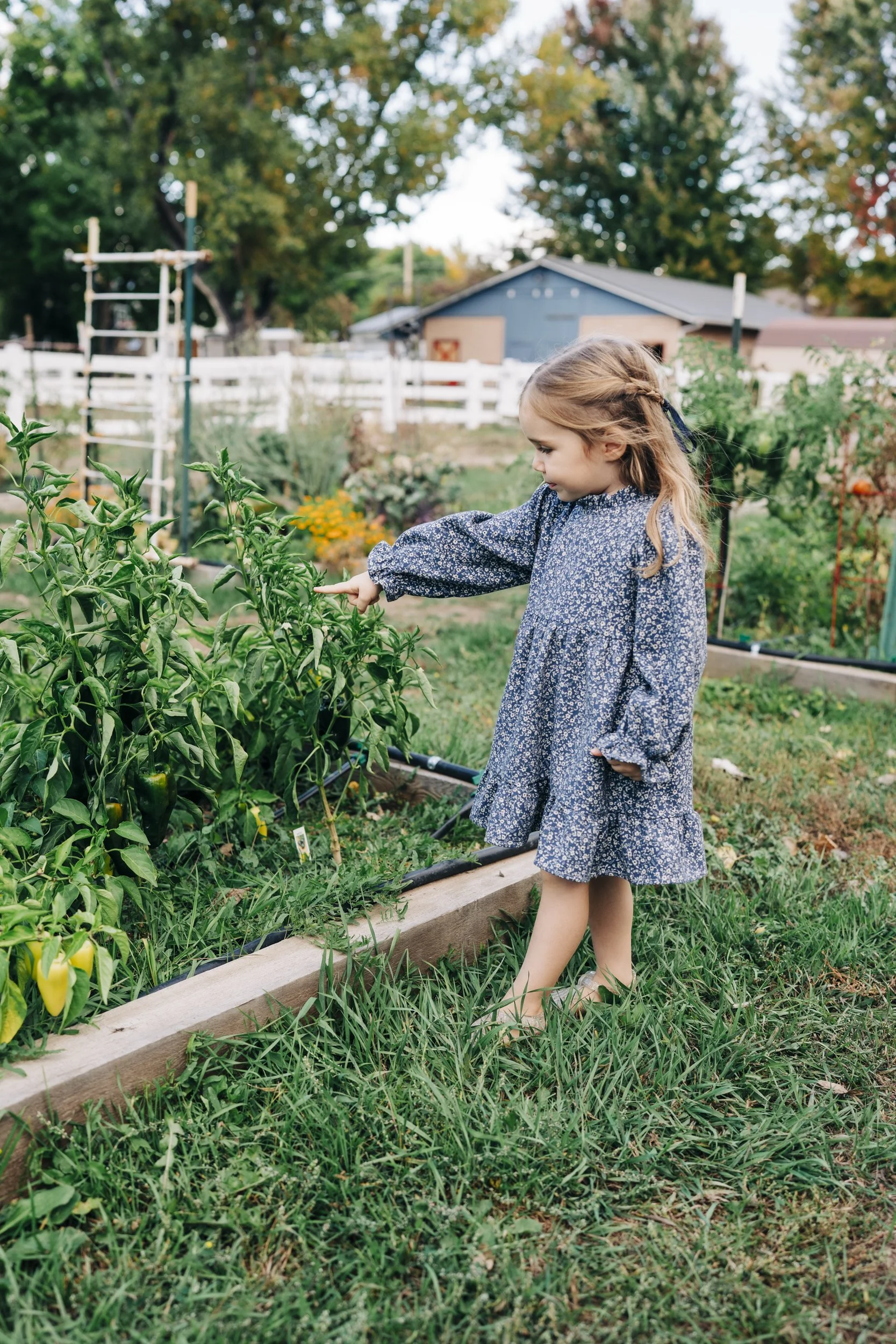 denver-fall-family-photo-sessions2.jpg