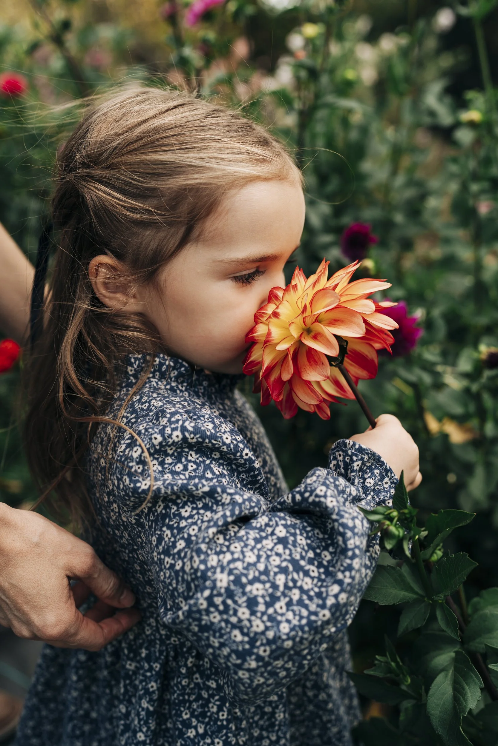 denver-fall-family-photo-sessions8.jpg