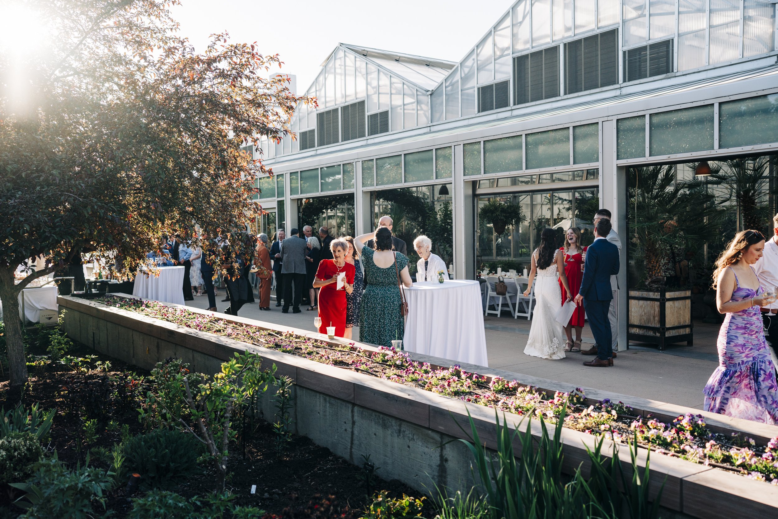 denver-wedding-photography-botanic gardens27.jpg