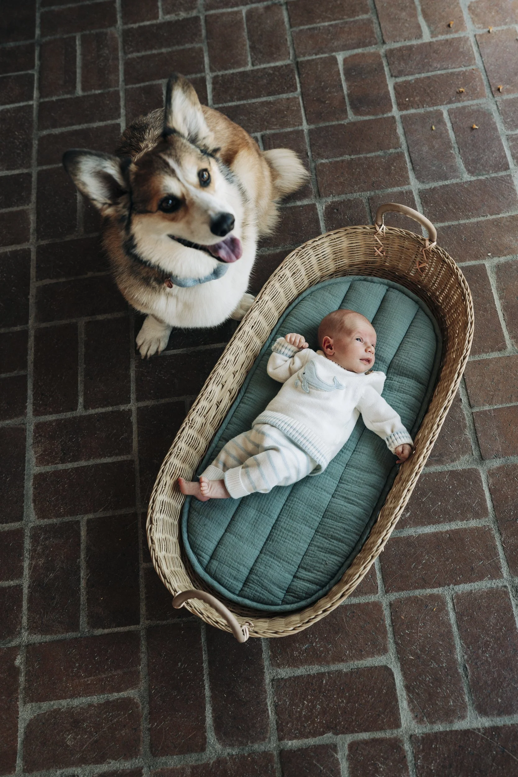 denver-newborn-photography3.jpg