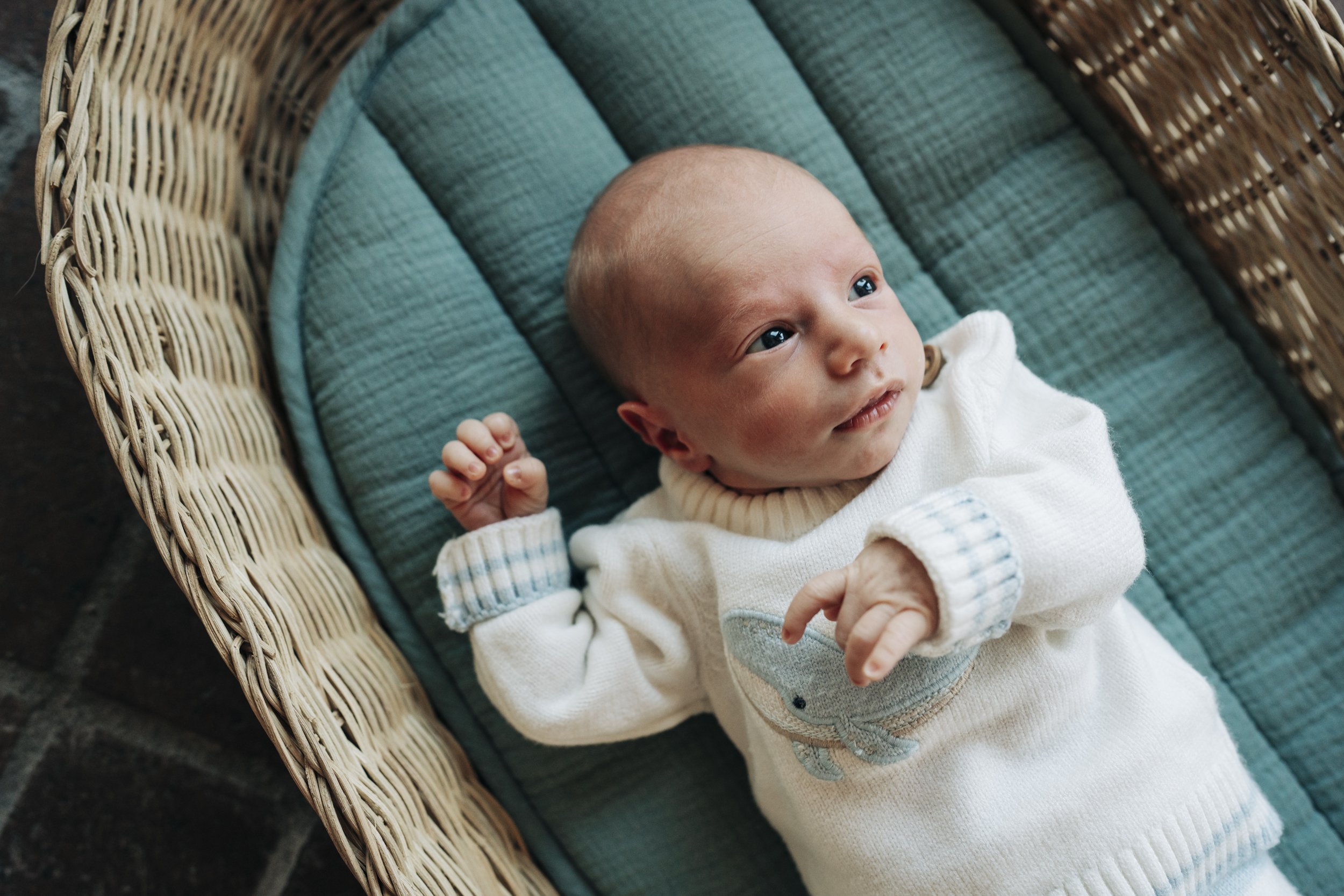 denver-newborn-photography4.jpg