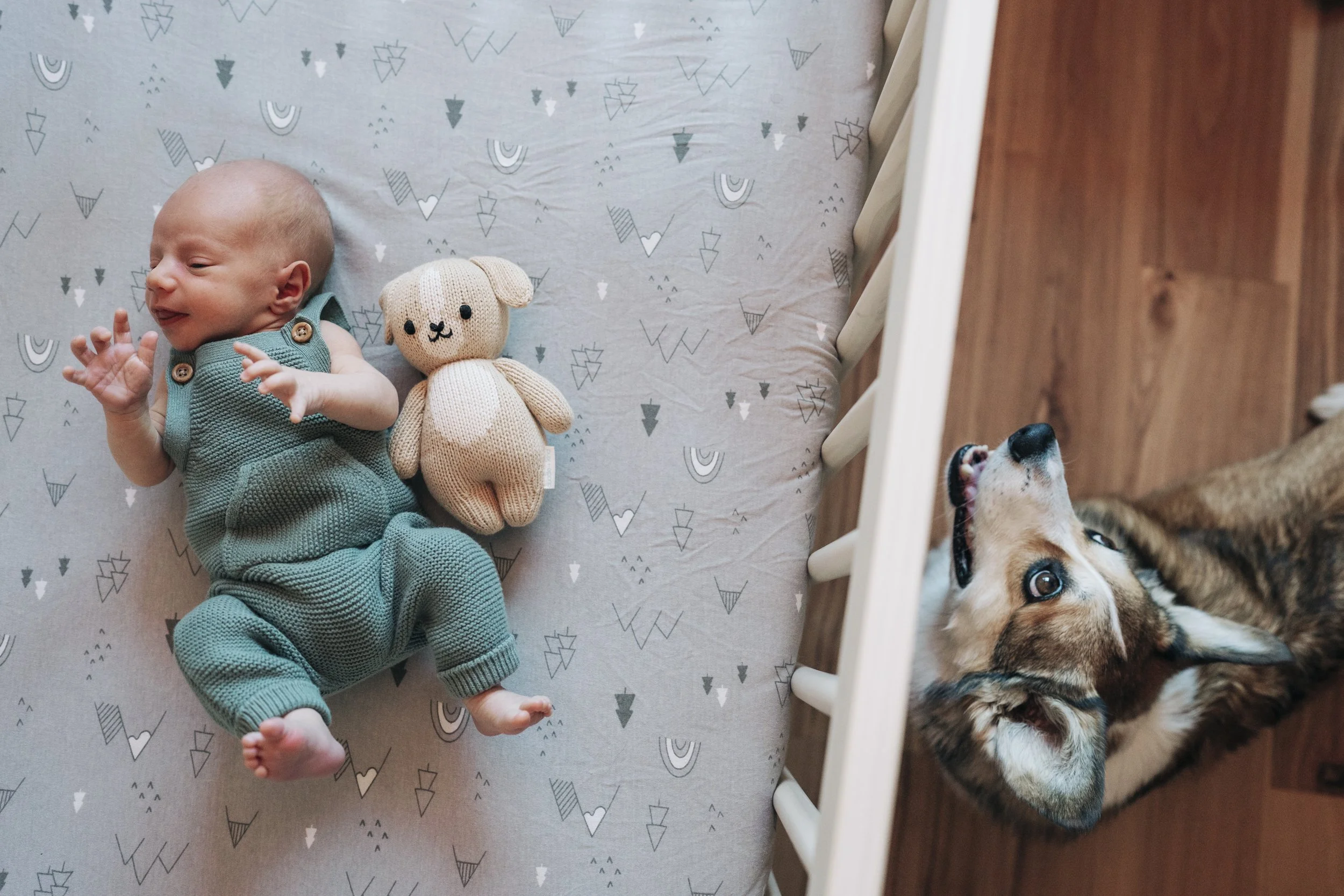 denver-newborn-photography24.jpg