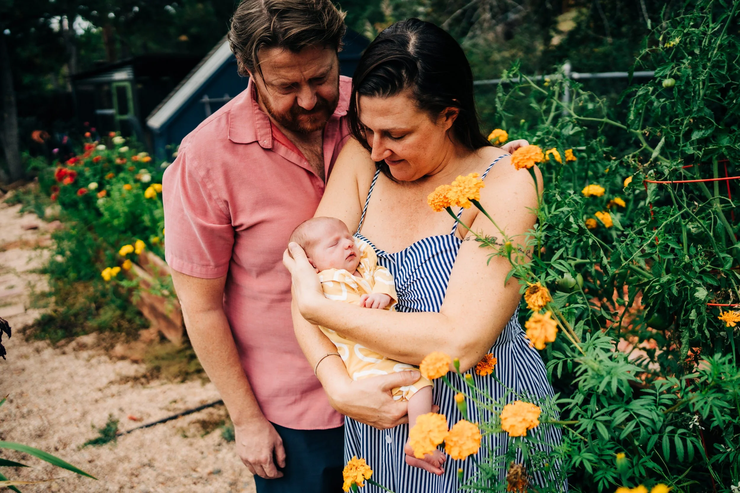 denver-newborn-photographer .jpg
