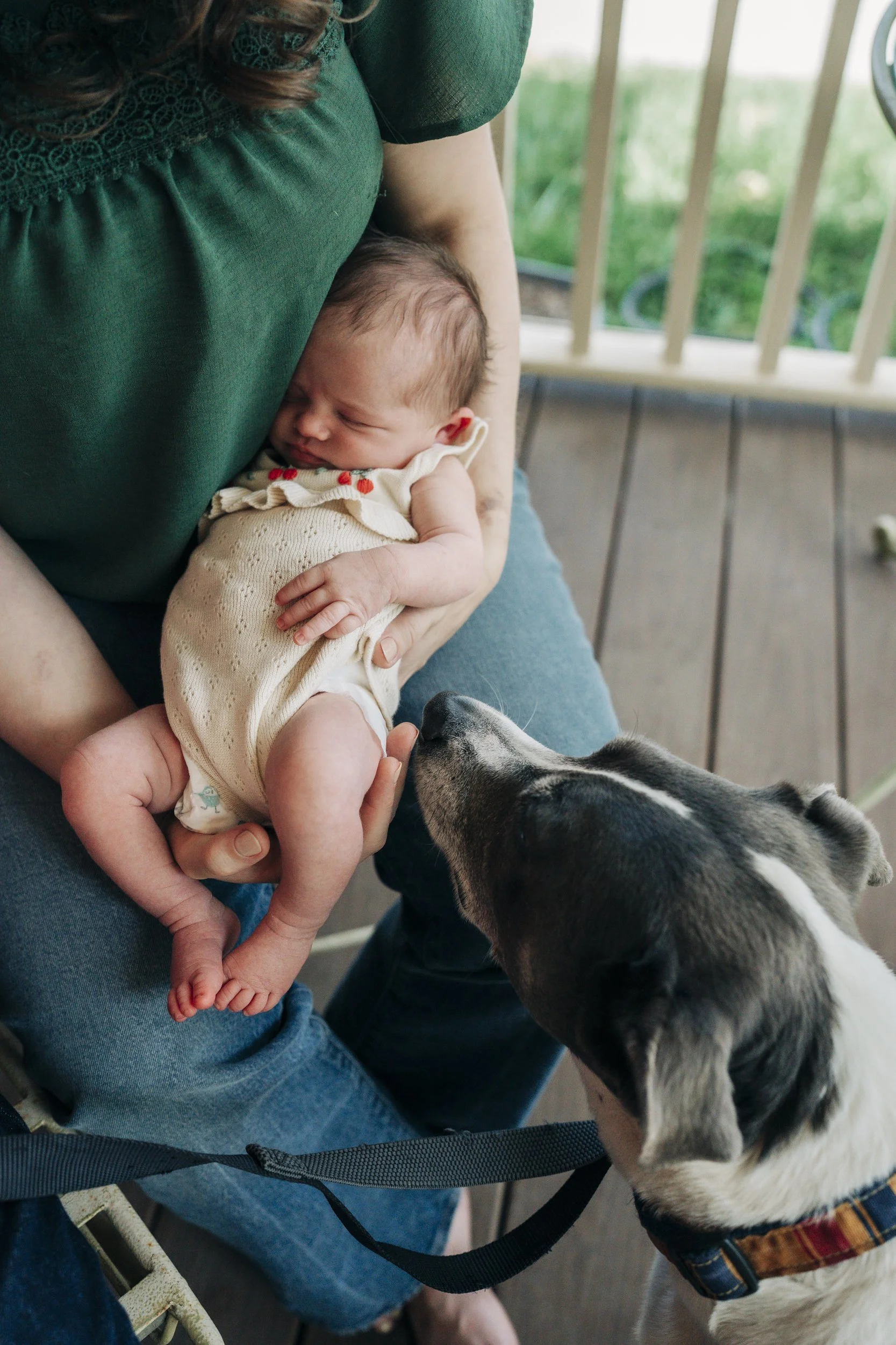 A person sitting on a porch holding a sleeping baby dressed in cream-colored clothing, while a black and white dog nuzzles the baby's face.