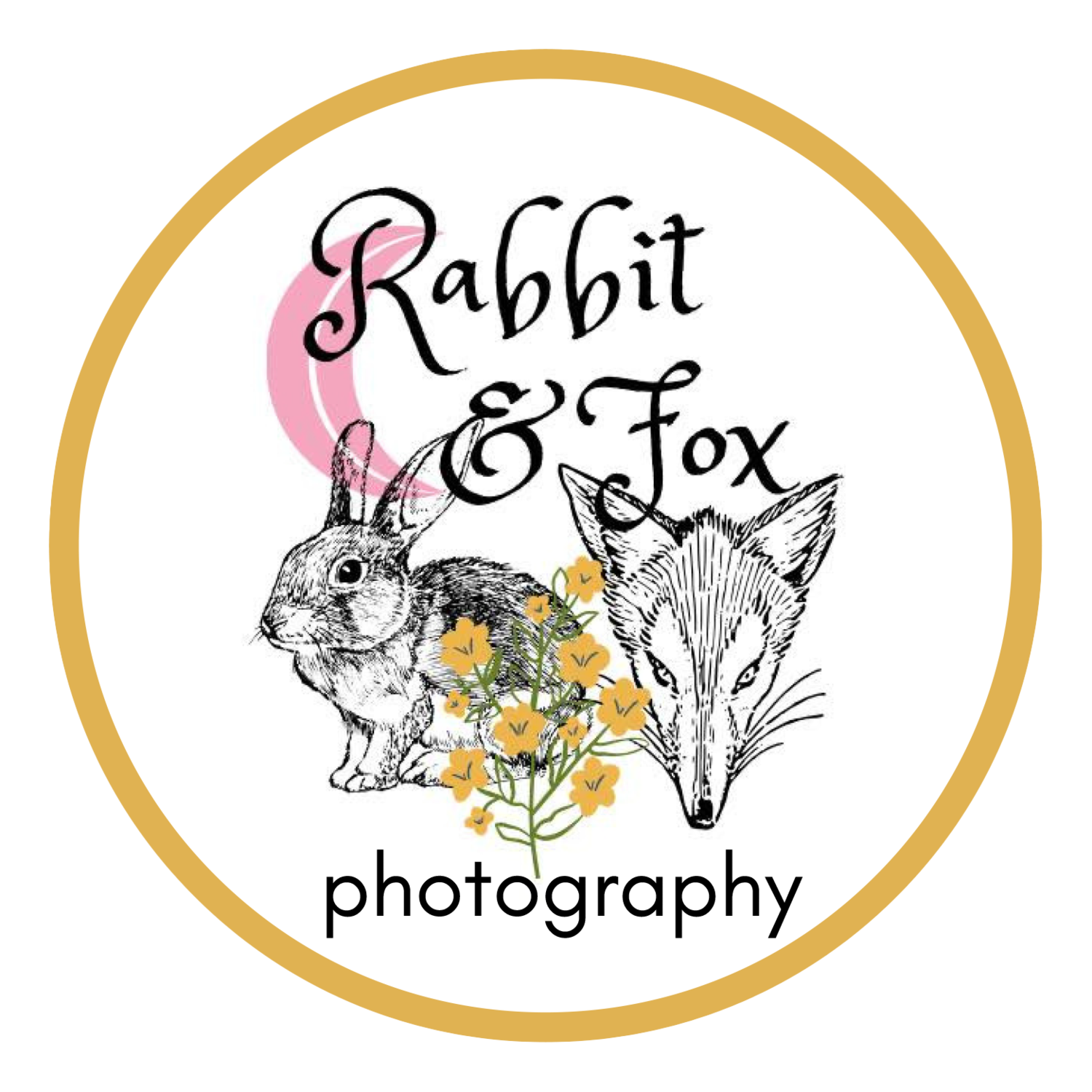 rabbit &amp; fox photography