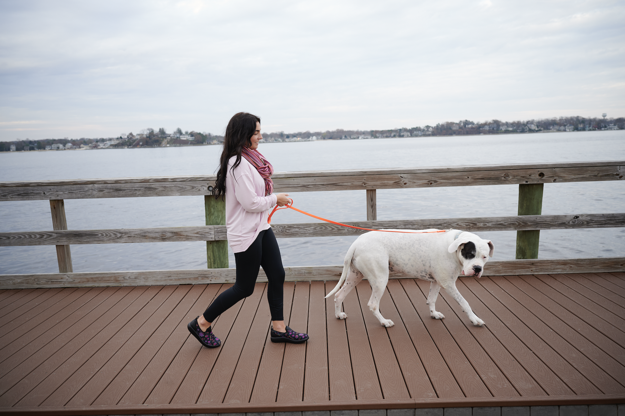 Screen Shot 2021-04-12 at 12.43.30 PM.png