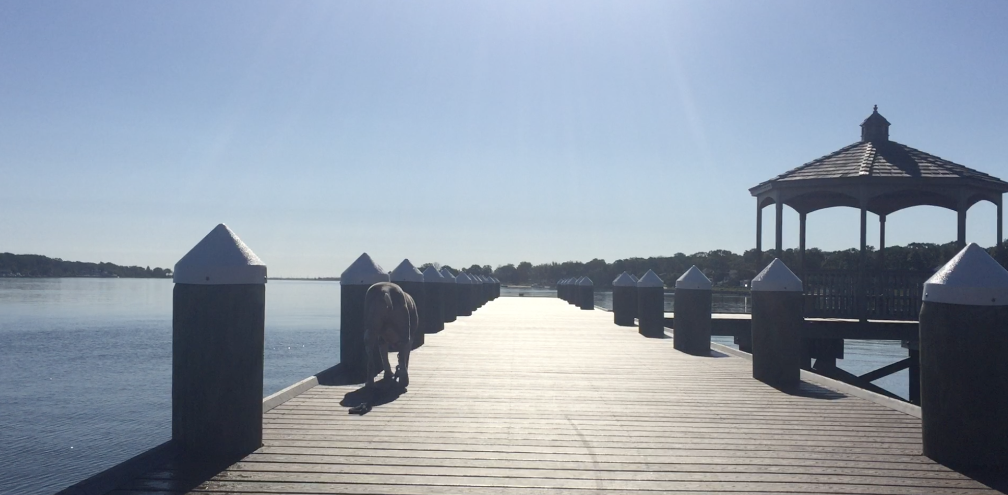 Screen Shot 2021-04-16 at 6.43.42 PM.png