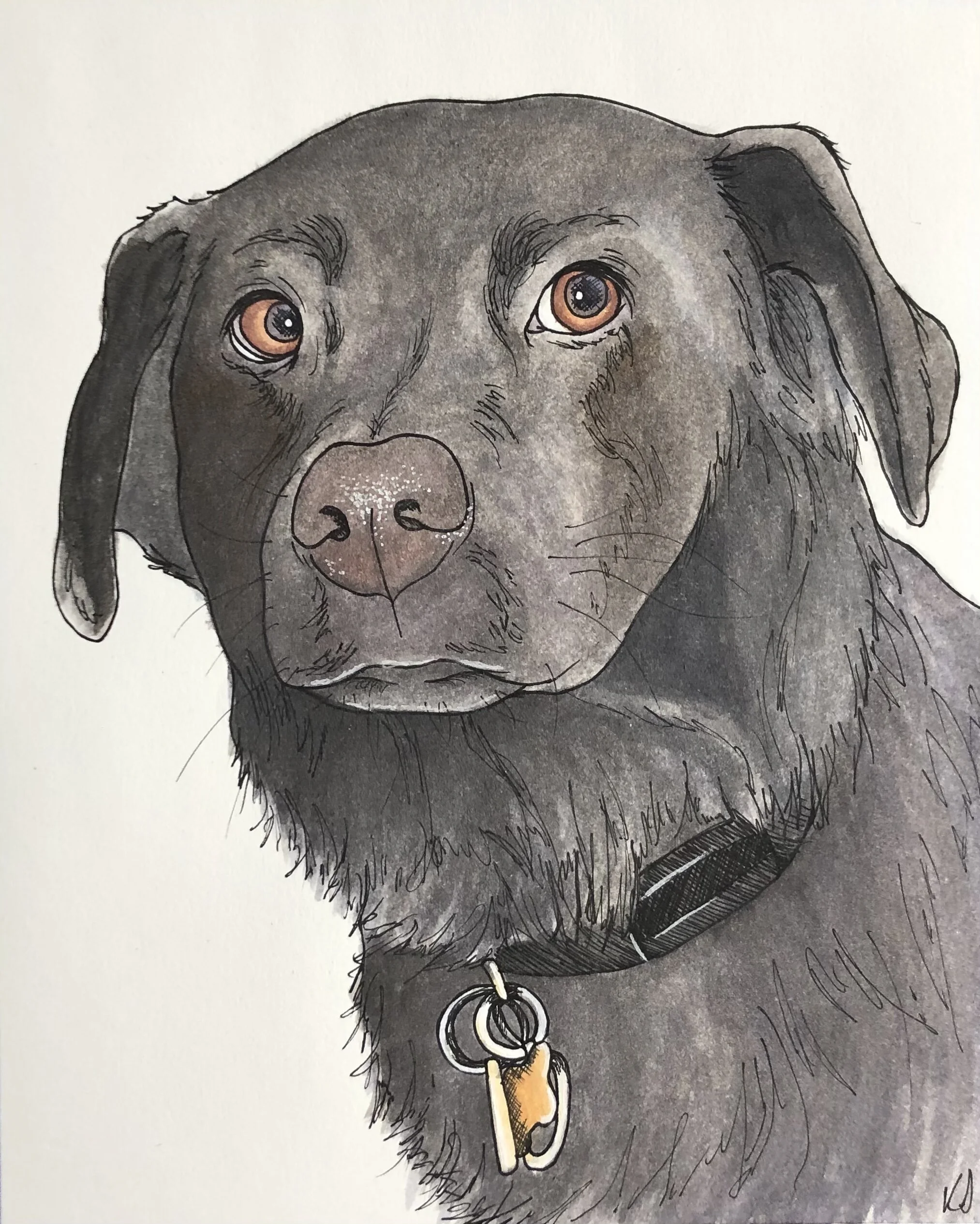 Ink and watercolor portrait of a black dog with warm brown eyes and detailed pen linework.