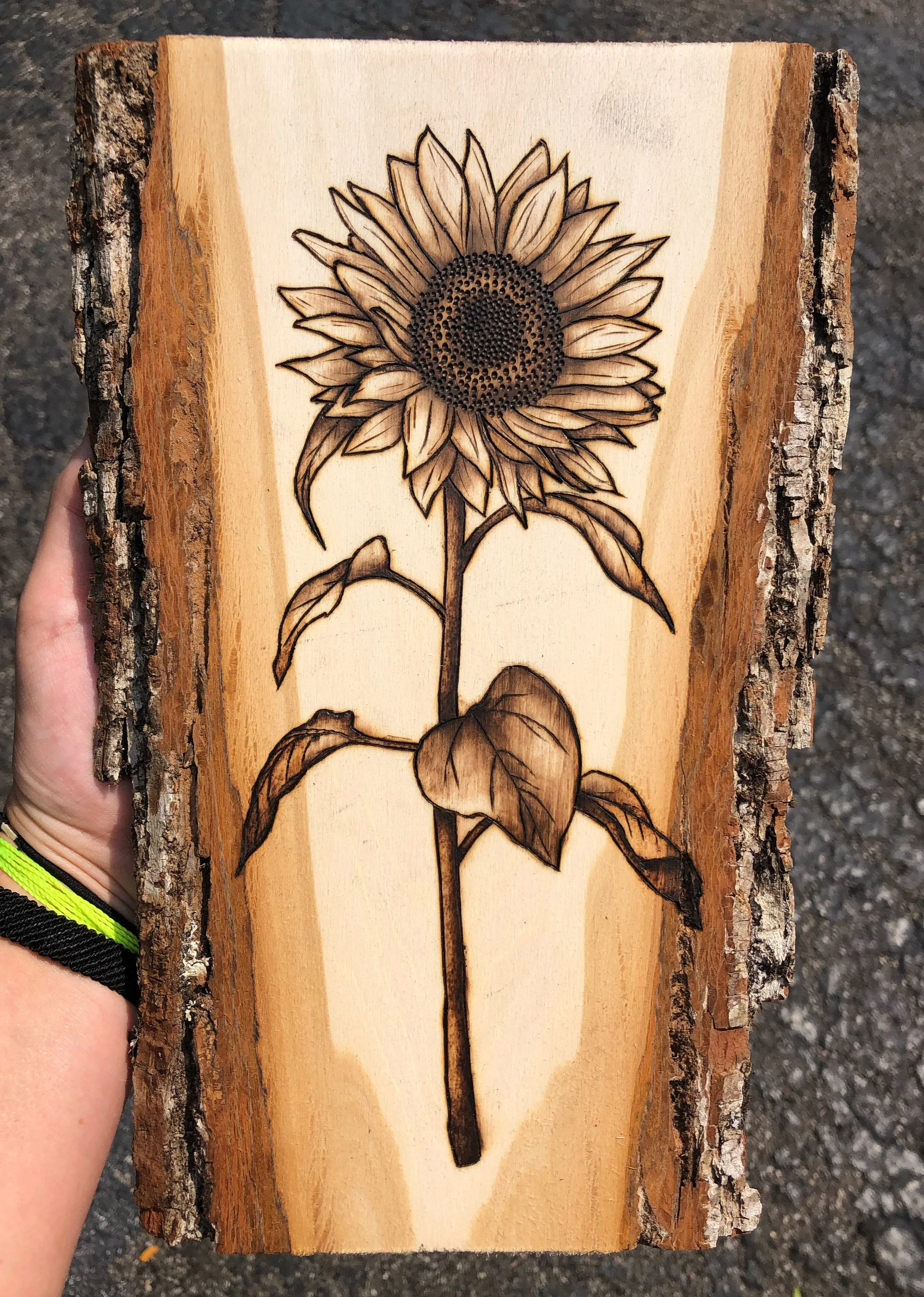 Wood-burning artwork of a tall detailed sunflower on a live-edge wood slice.