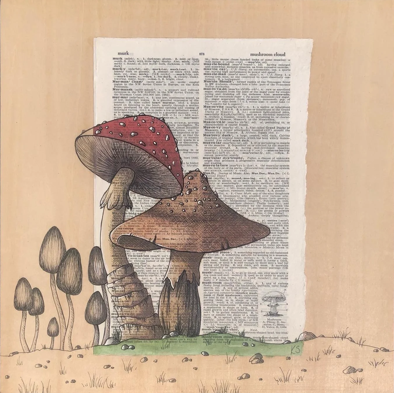 Mushroom