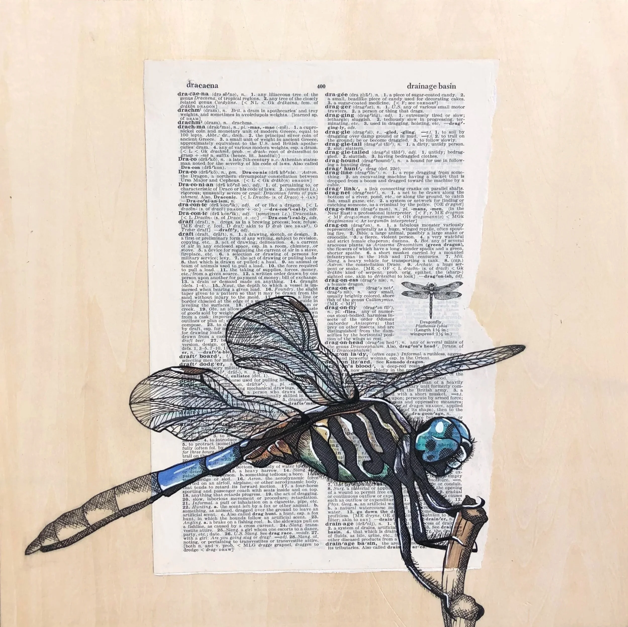Dragonfly
