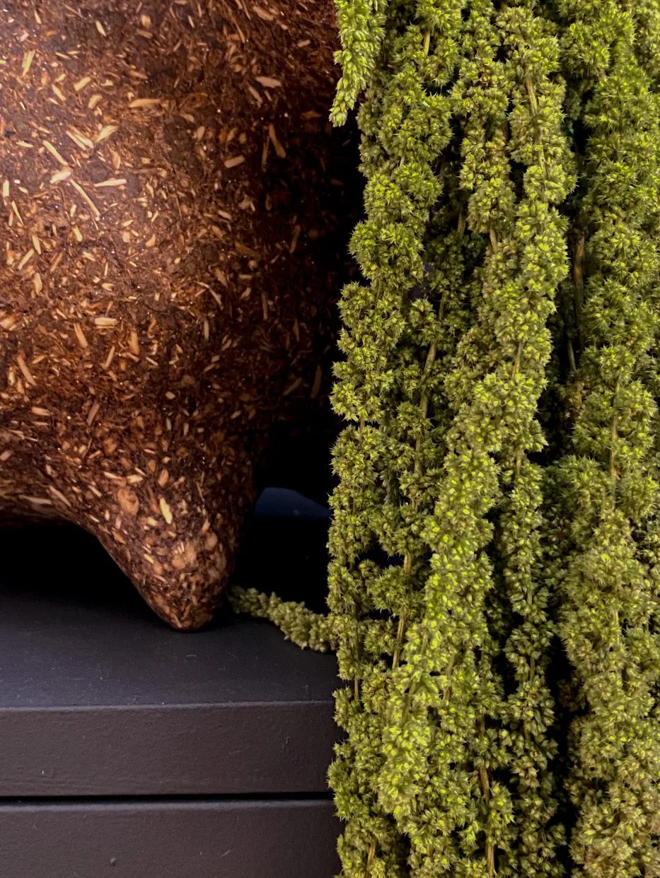 Showroom_Autumn Colour-24.jpg