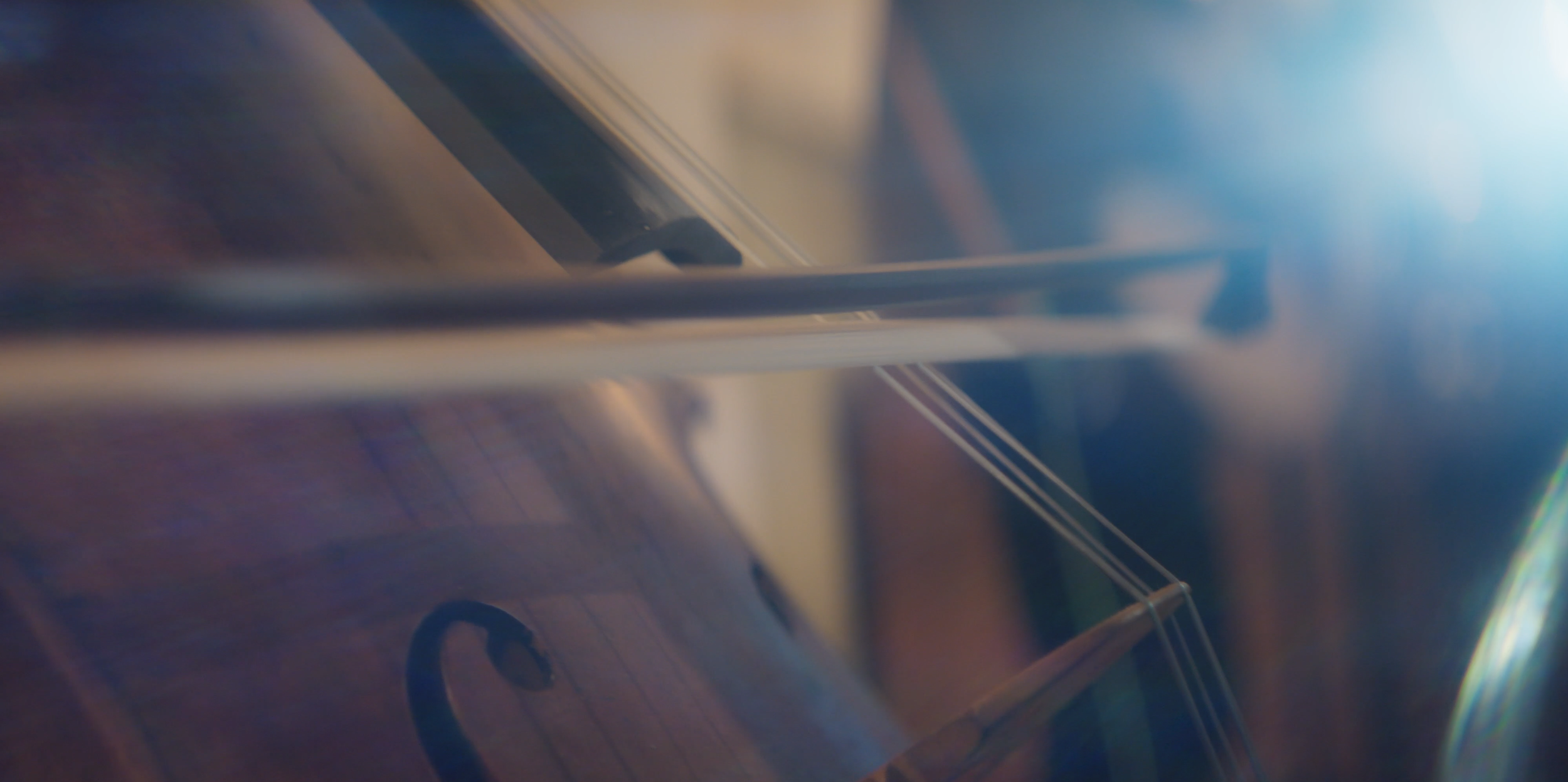 Screenshot 2024-08-18 at 10.19.40 AM.png