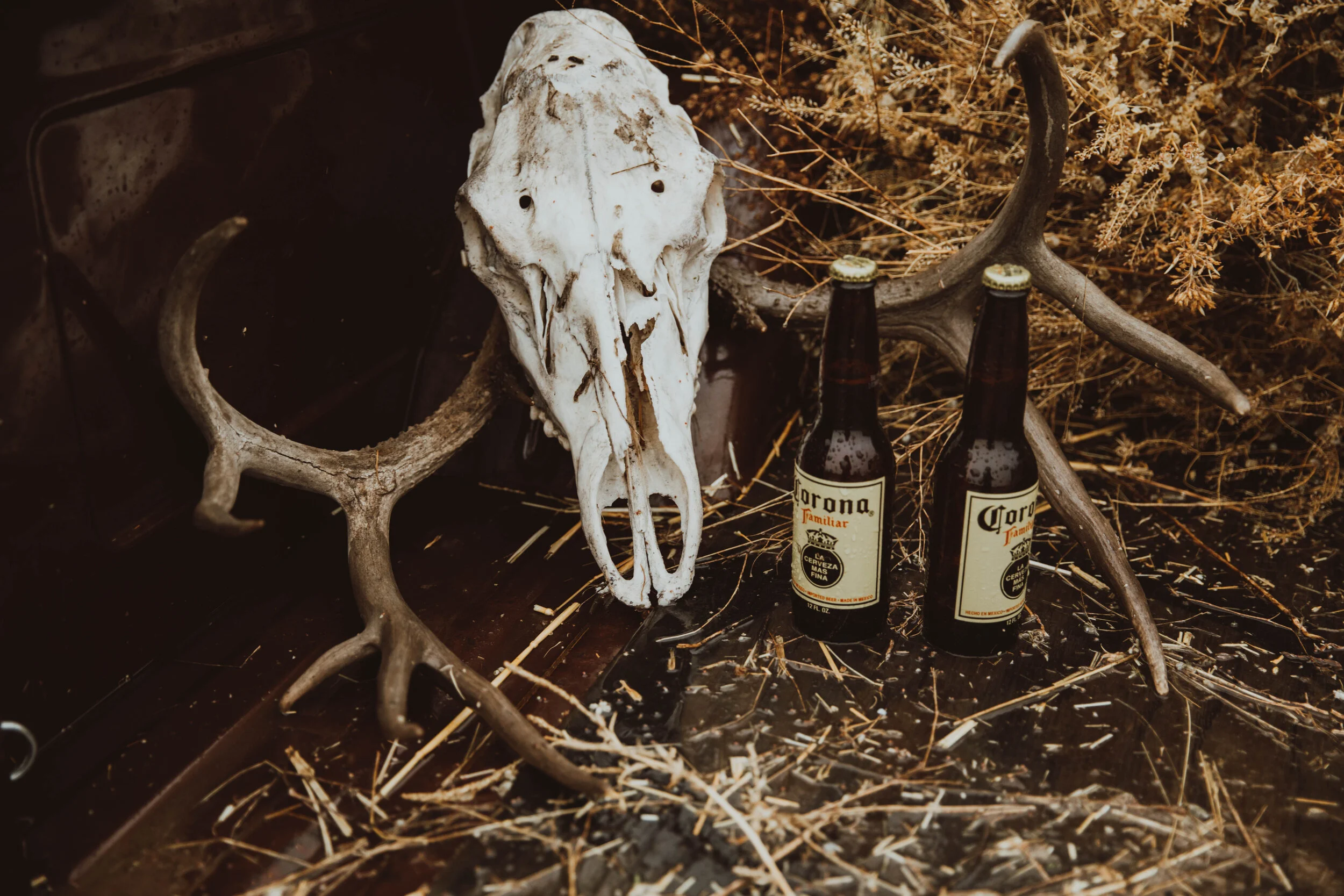 Othello Elopment_-3.jpg