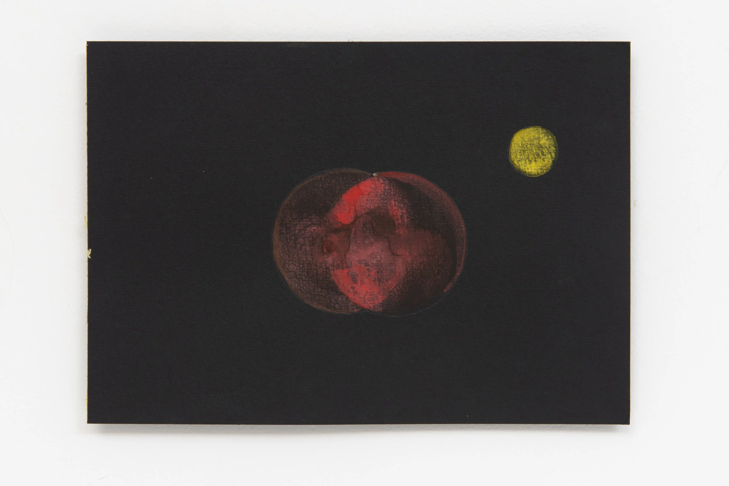 240331_Guta Galli_0010-Edit.jpg