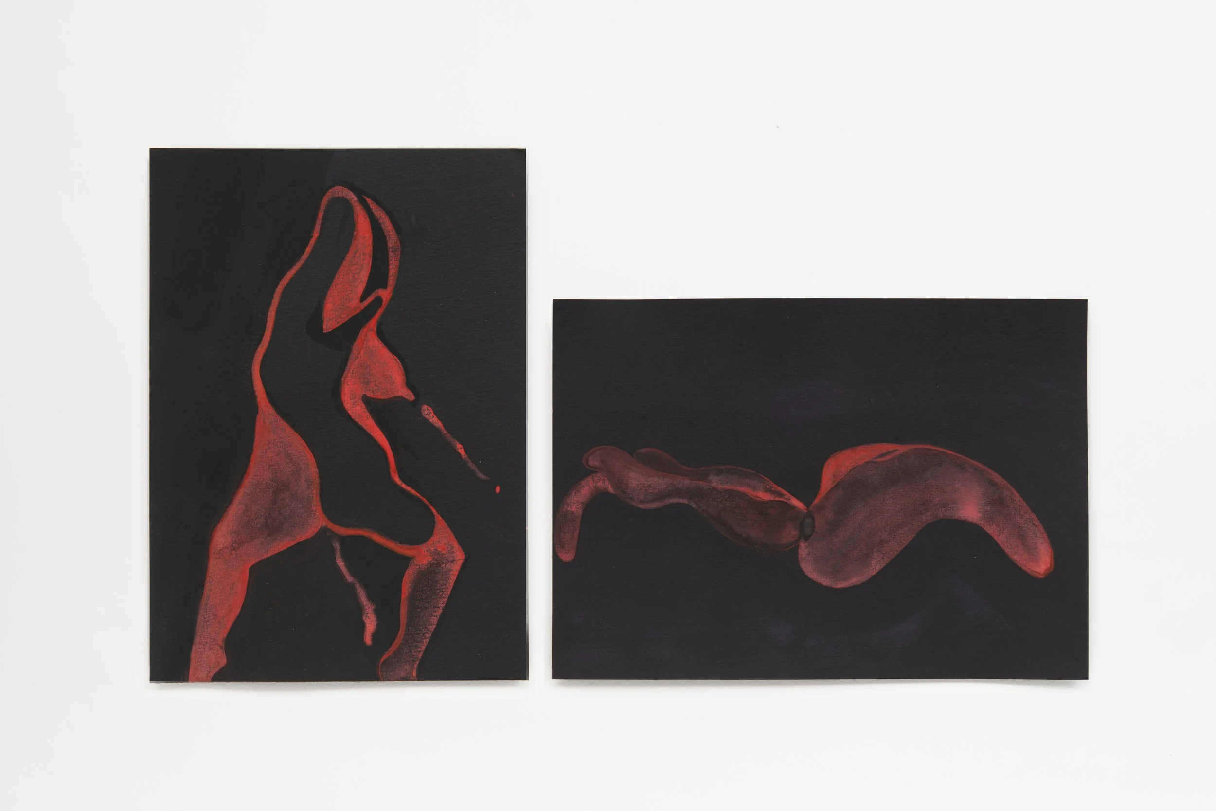 240331_Guta Galli_0020-Edit.jpg