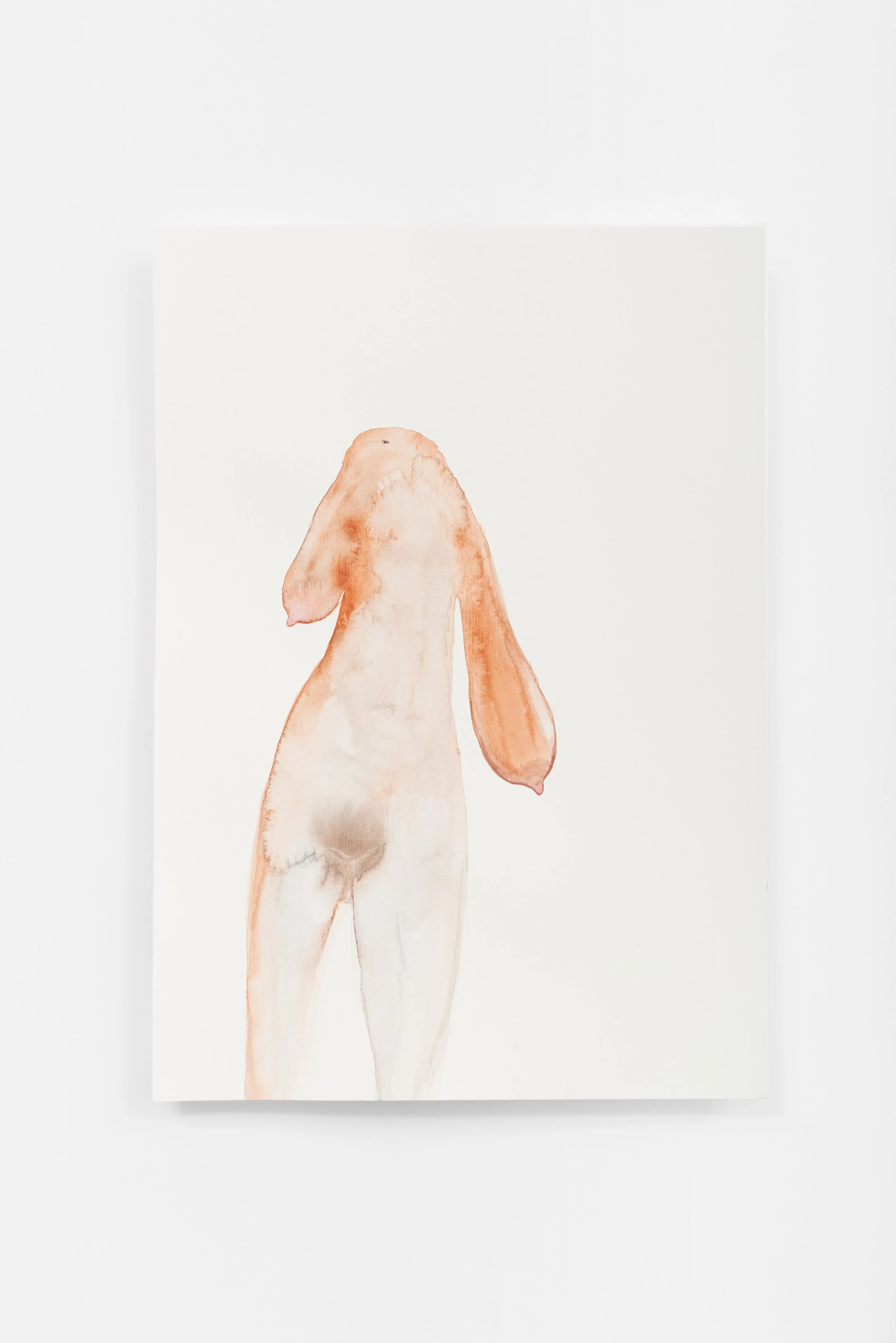 Puérperas / Puerperal