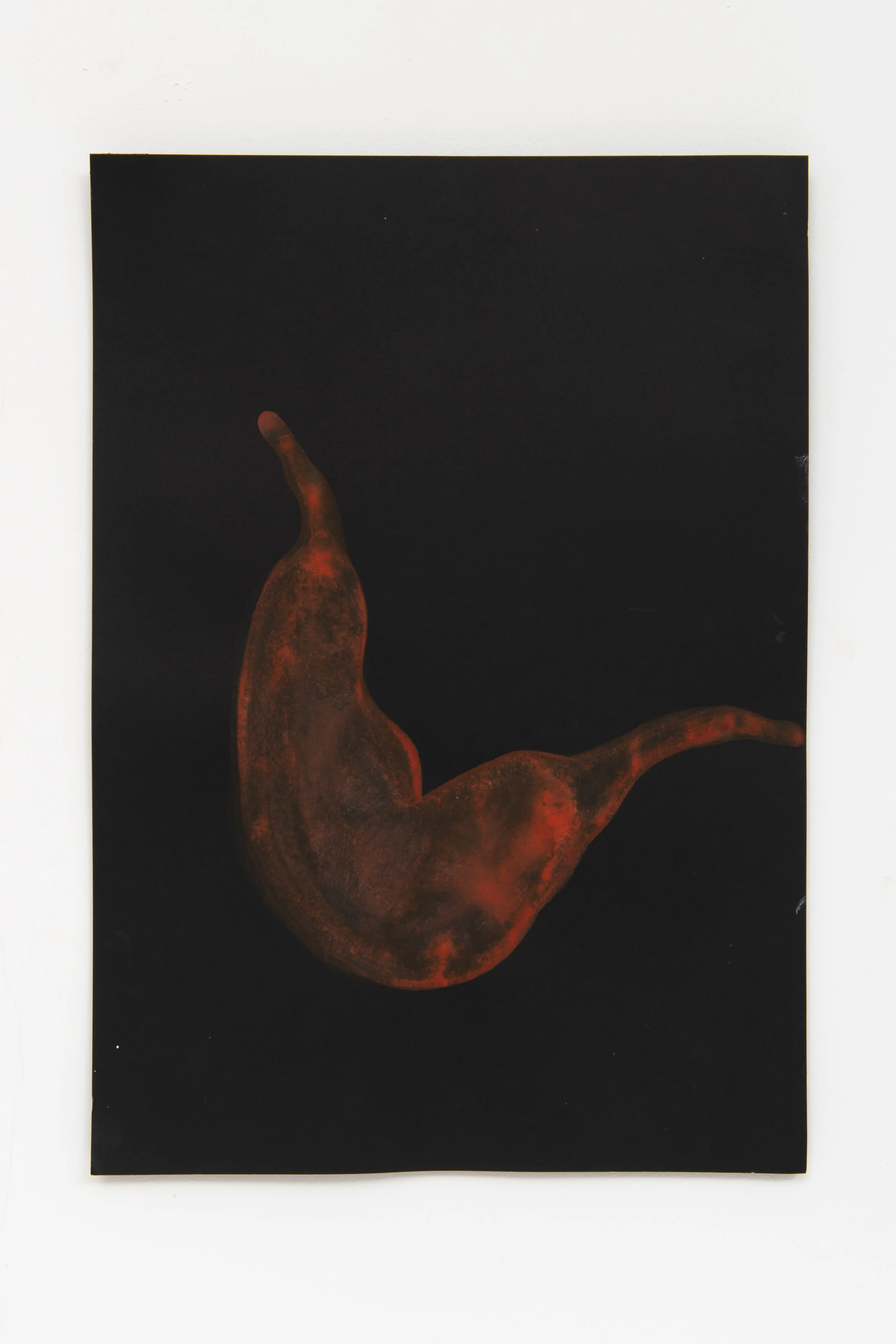 240331_Guta Galli_0013-Edit.jpg