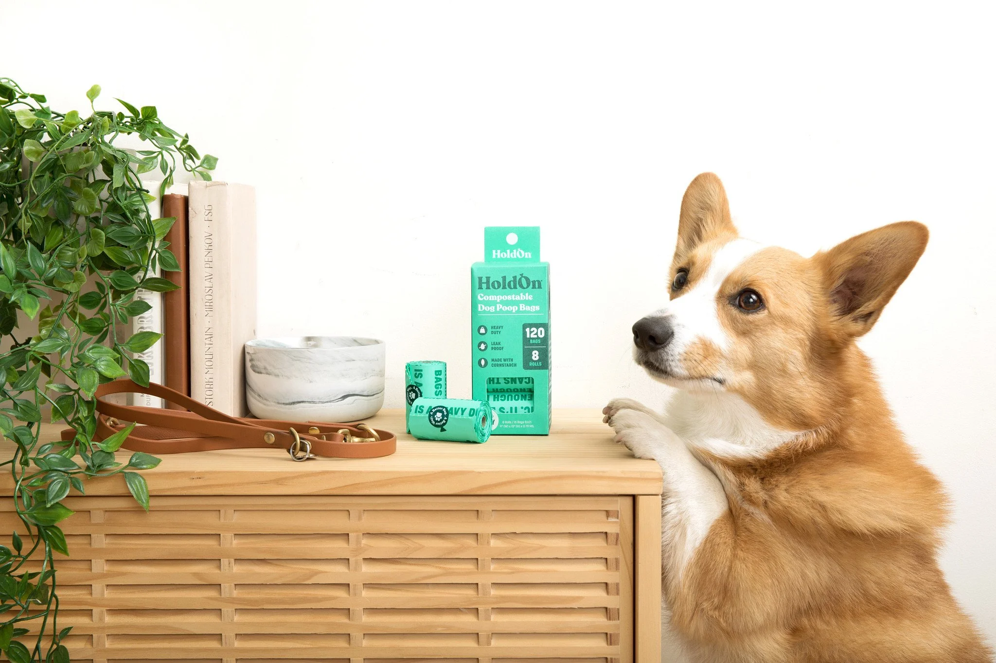 HoldOn Bags_r1_01E_9937.jpg