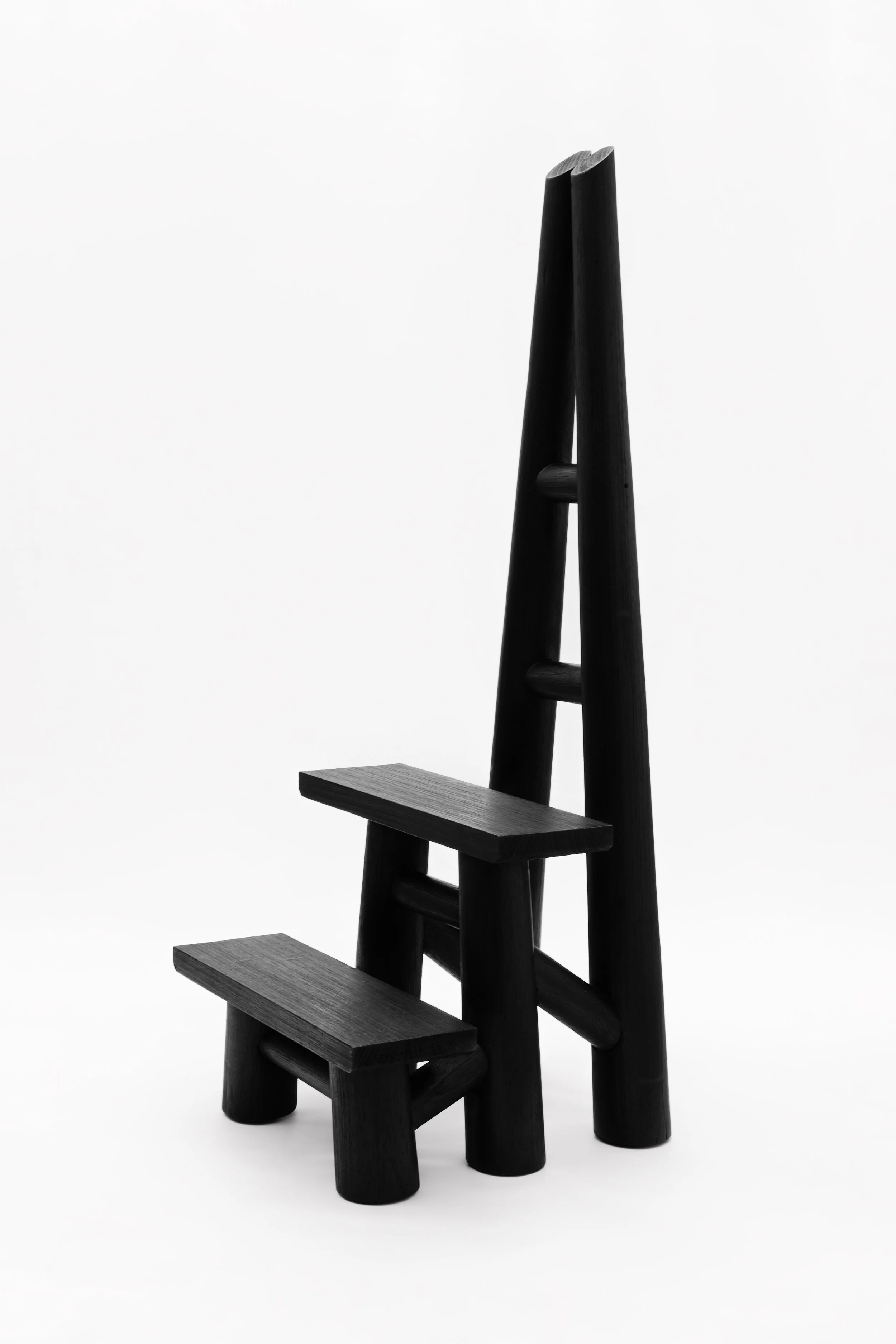 CarmWorks_Troya_Yakisugi 39.jpg