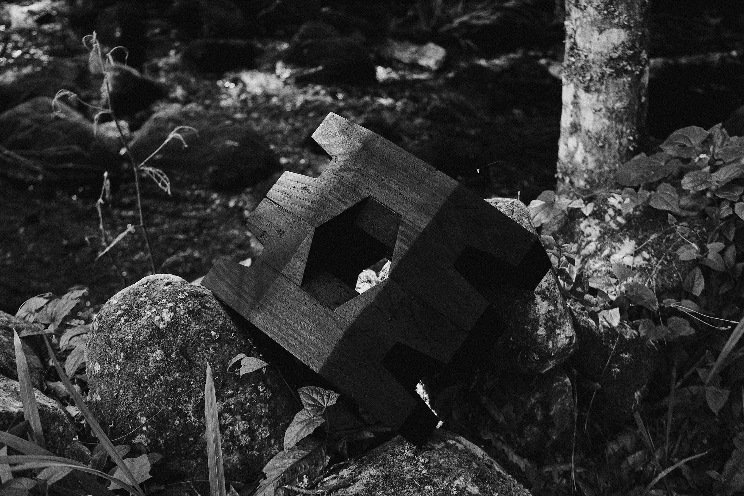 CarmWorks_Cortijo_Yakisugi 5.jpg