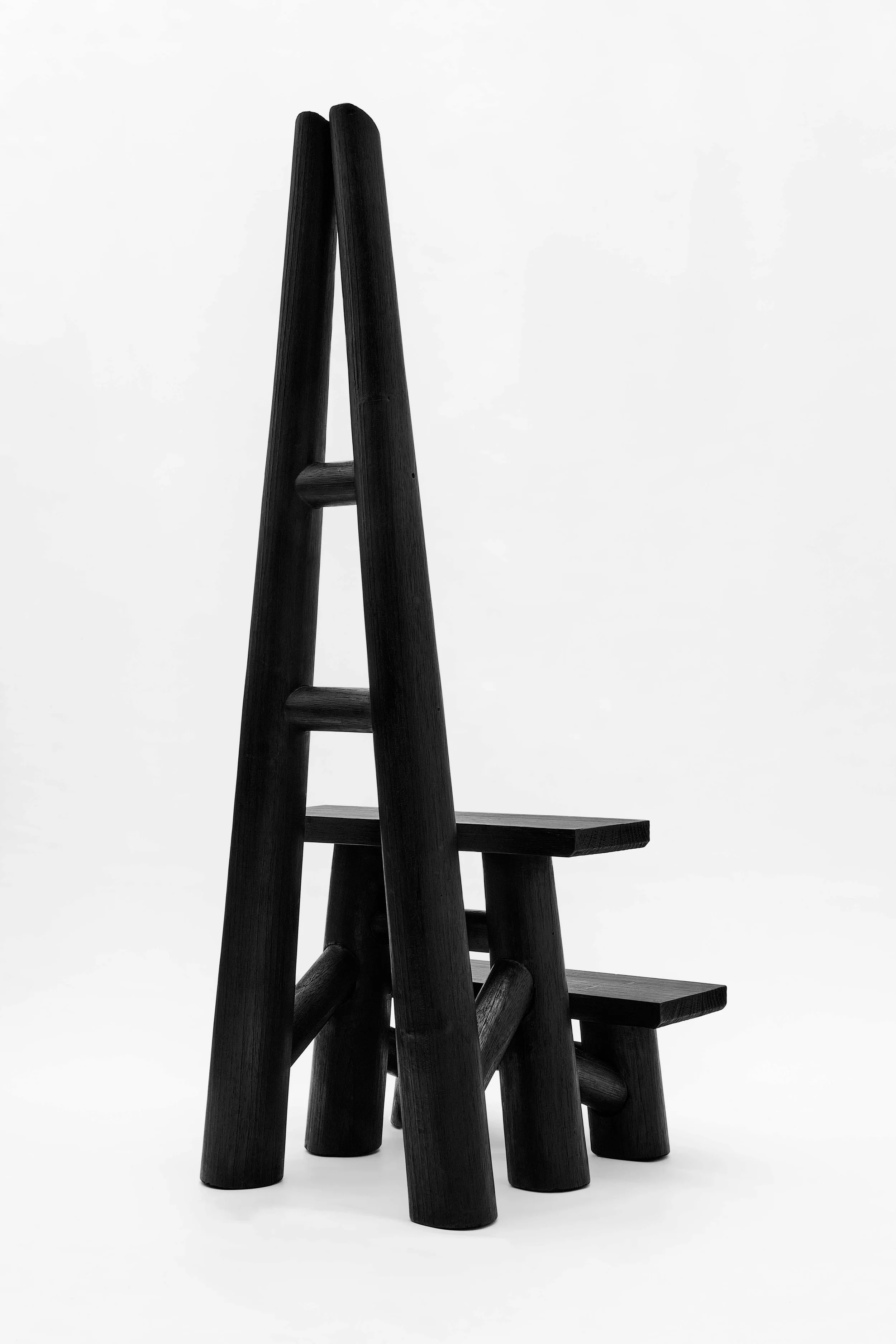 CarmWorks_Troya_Yakisugi 37.jpg