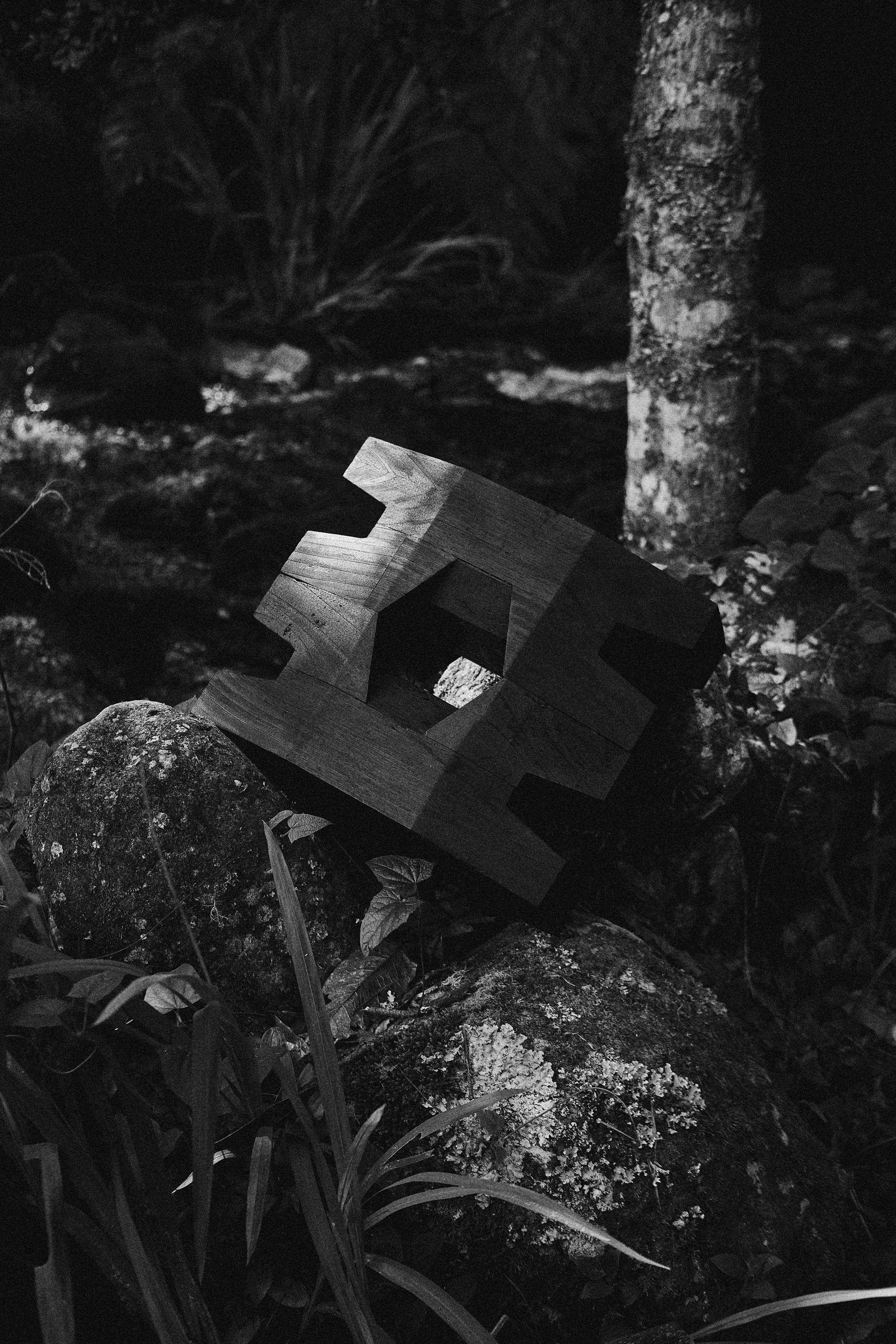 CarmWorks_Cortijo_Yakisugi 6.jpg