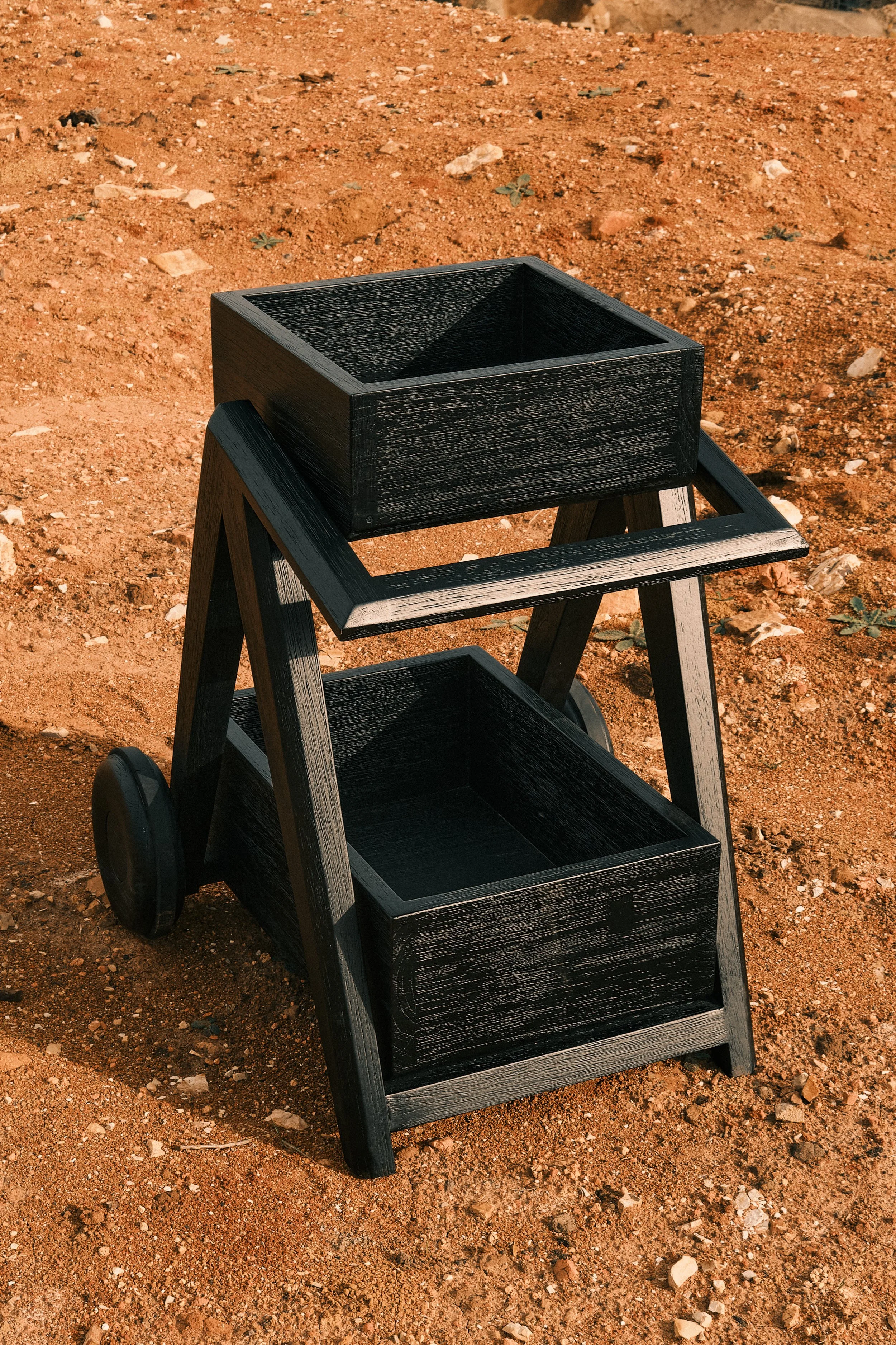 CarmWorks_Tlaxac_Yakisugi_carrier 16.jpg