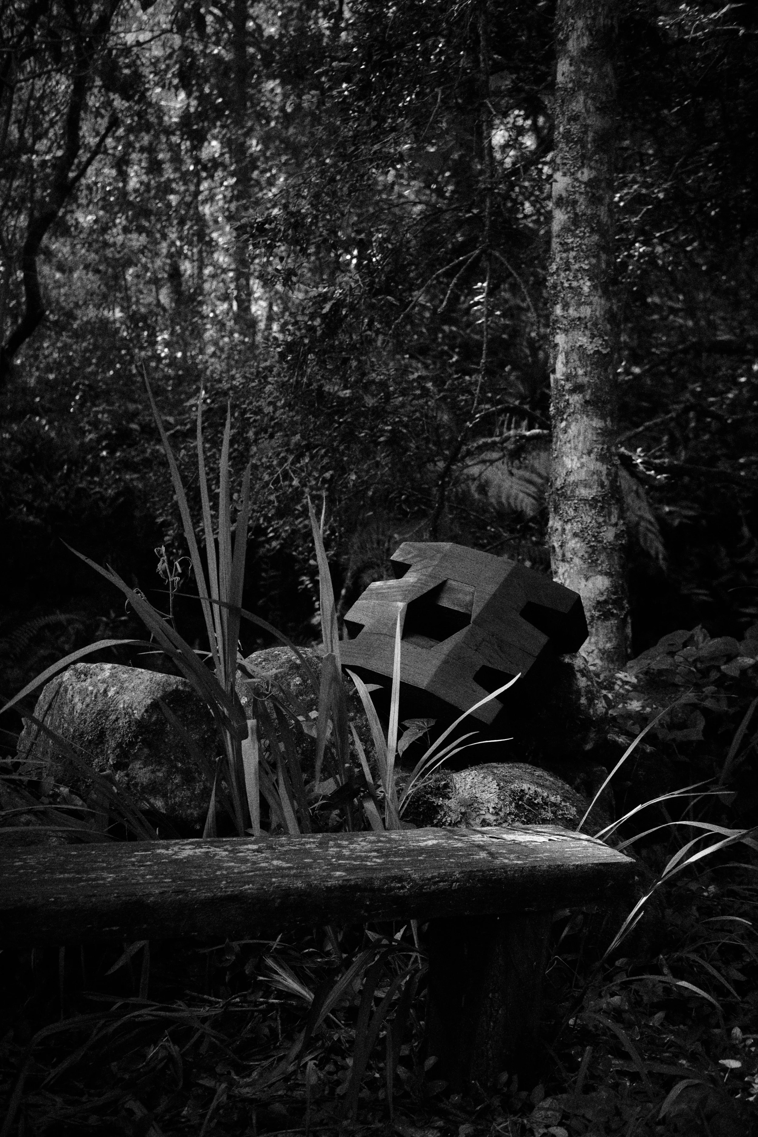 CarmWorks_Cortijo_Yakisugi 3.jpg