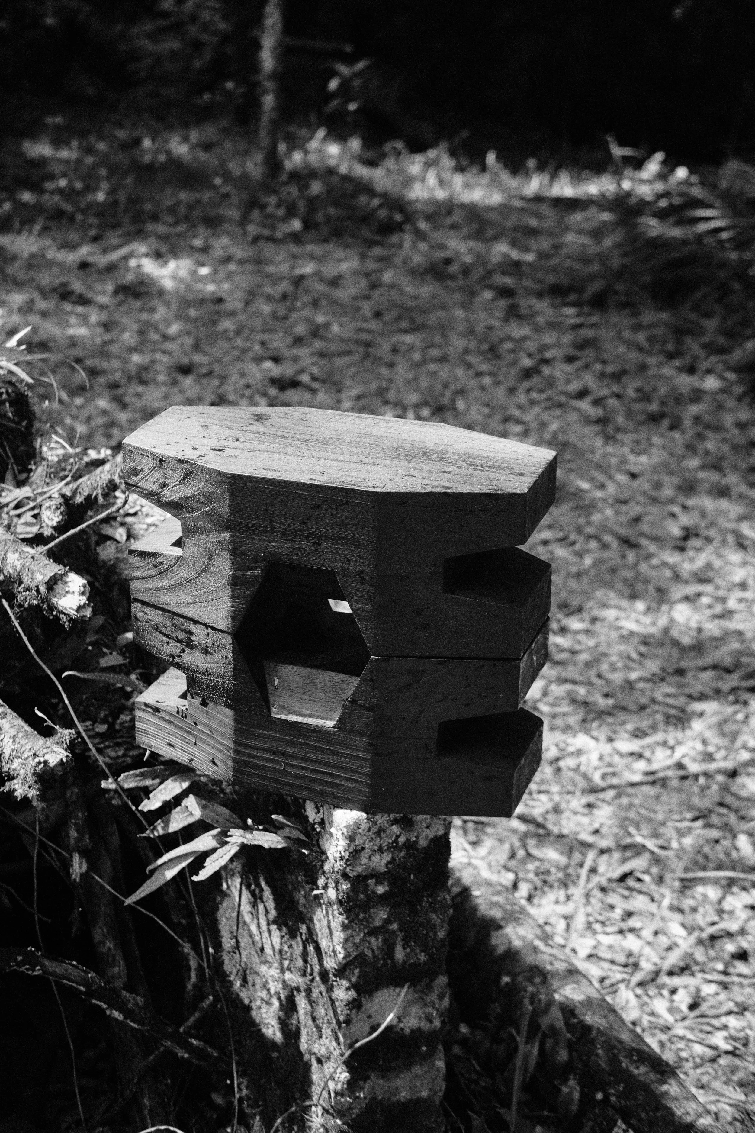 CarmWorks_Cortijo_Yakisugi 8.jpg