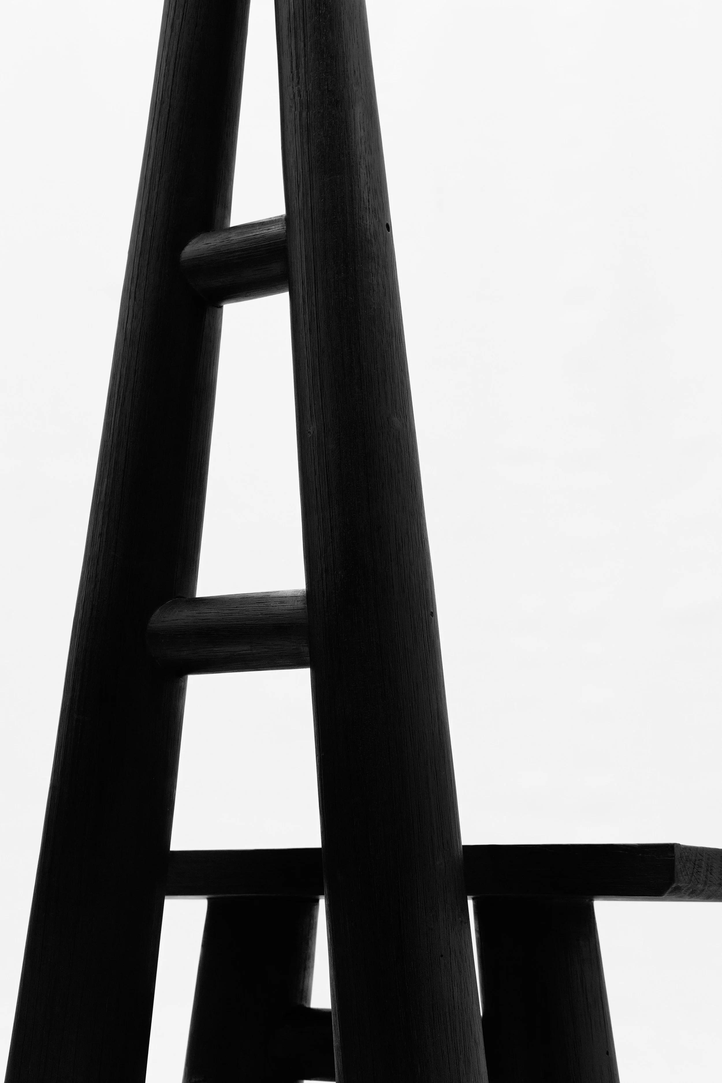 CarmWorks_Troya_Yakisugi 46.jpg