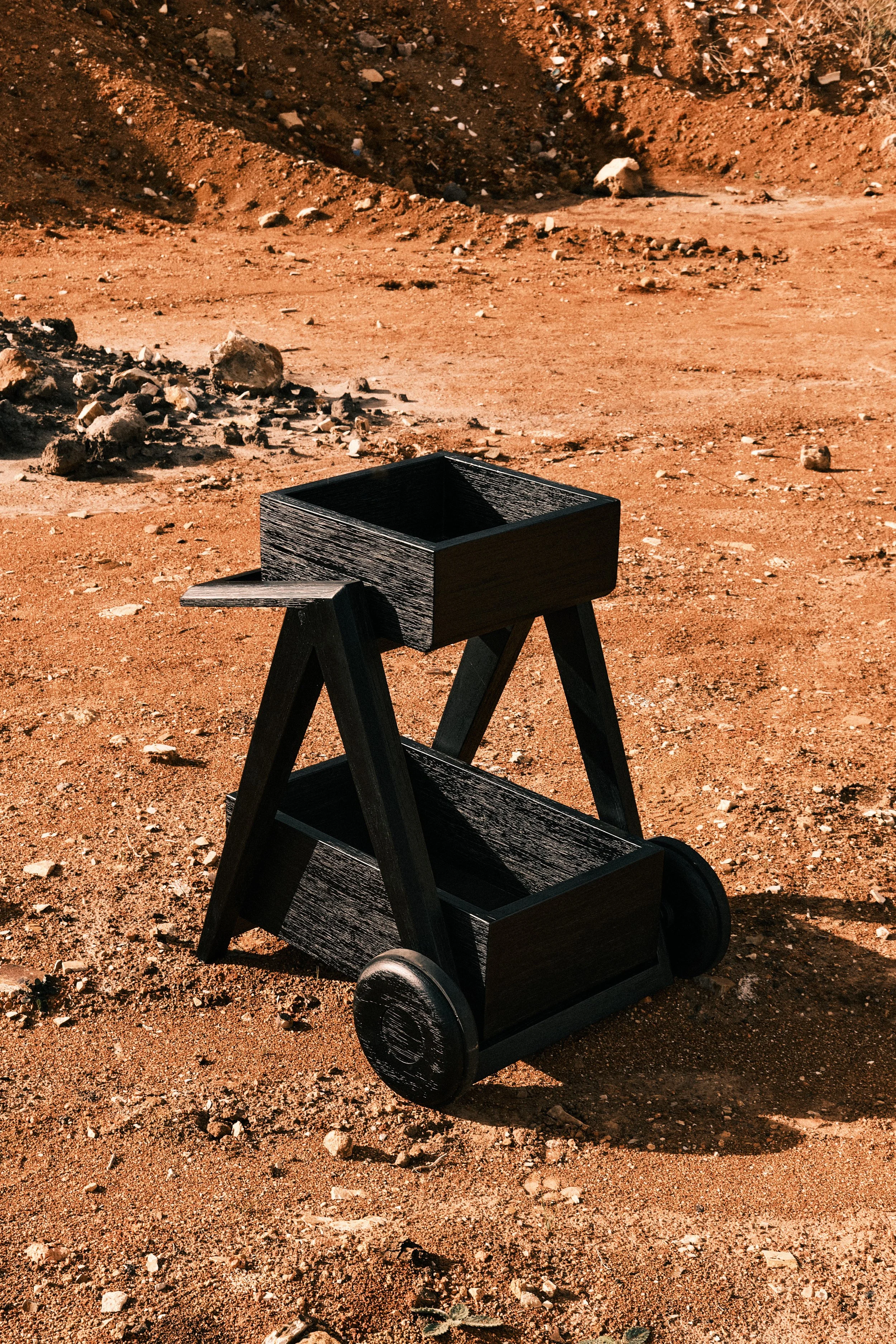 CarmWorks_Tlaxac_Yakisugi_carrier 13.jpg