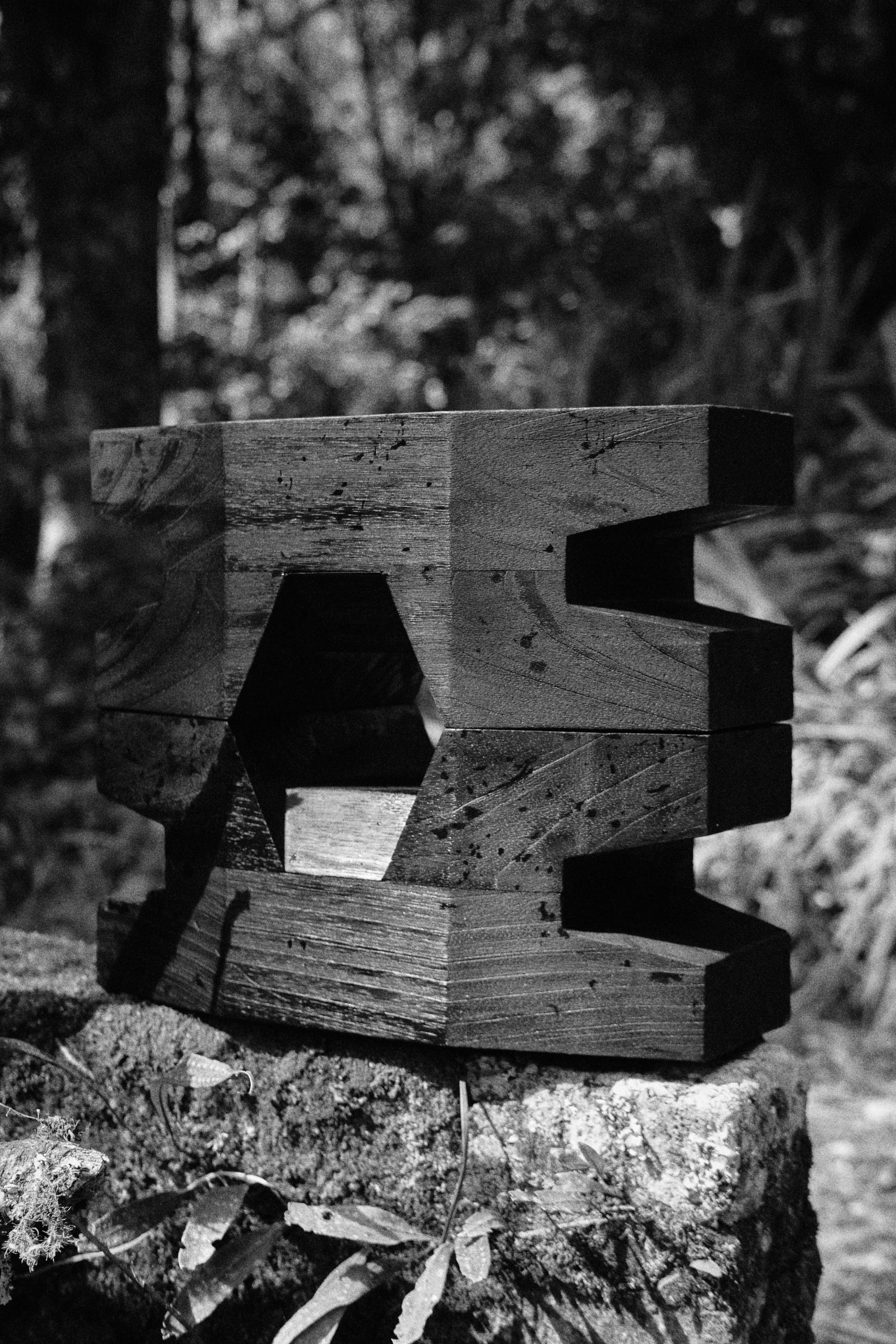 CarmWorks_Cortijo_Yakisugi 7.jpg