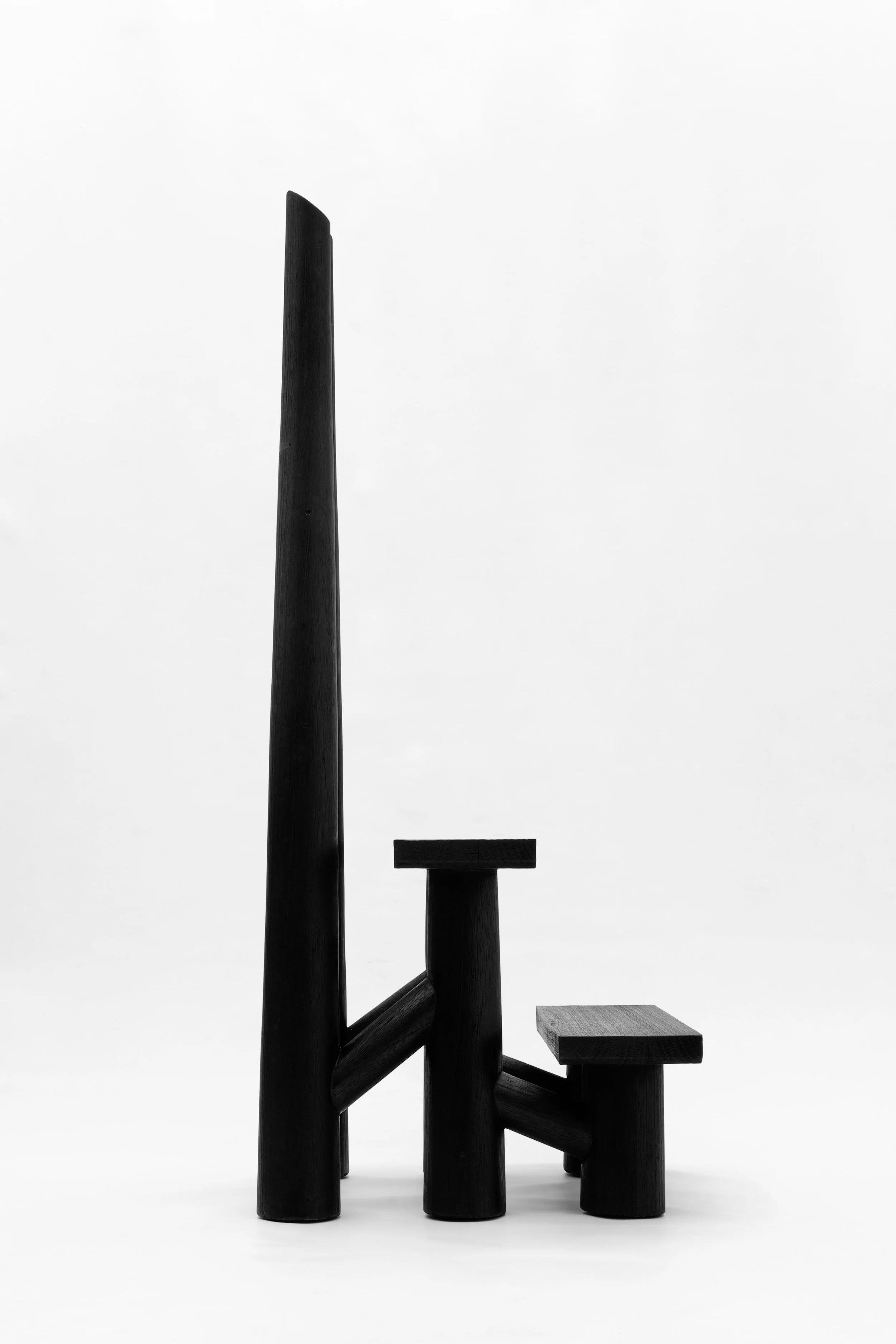 CarmWorks_Troya_Yakisugi 34.jpg