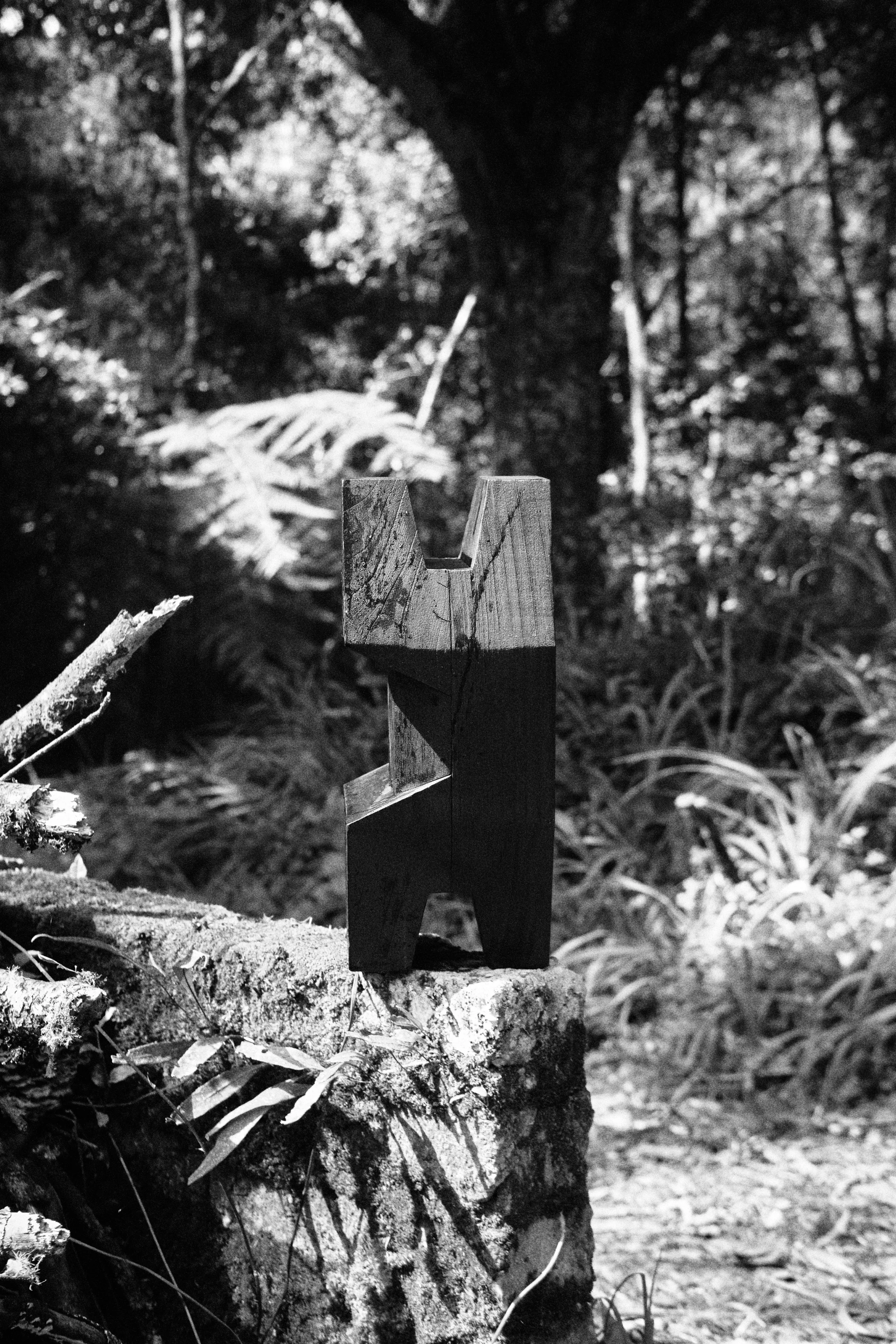 CarmWorks_Cortijo_Yakisugi 9.jpg