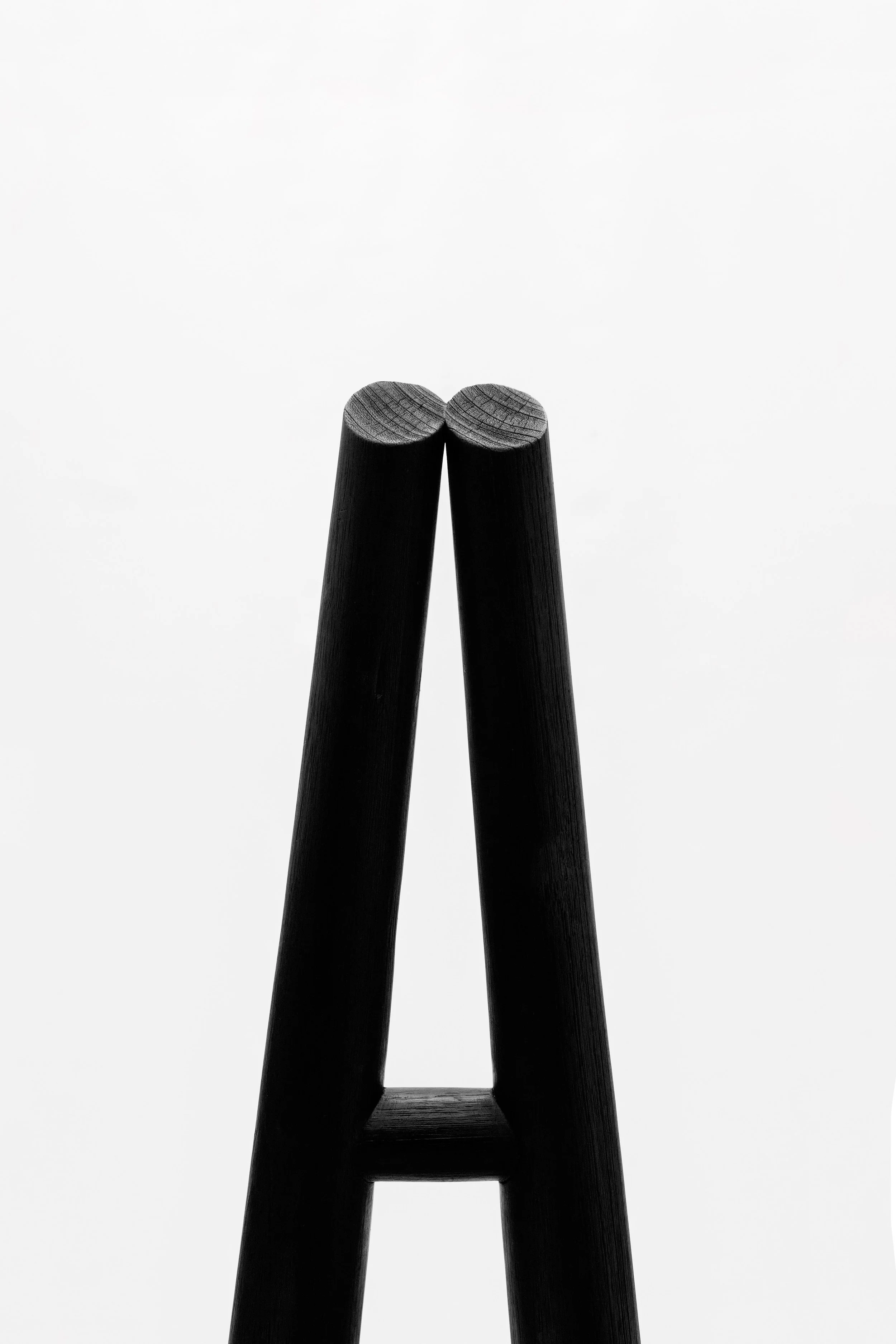 CarmWorks_Troya_Yakisugi 41.jpg